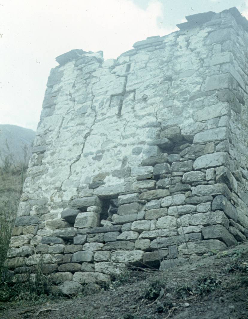 221.JPG