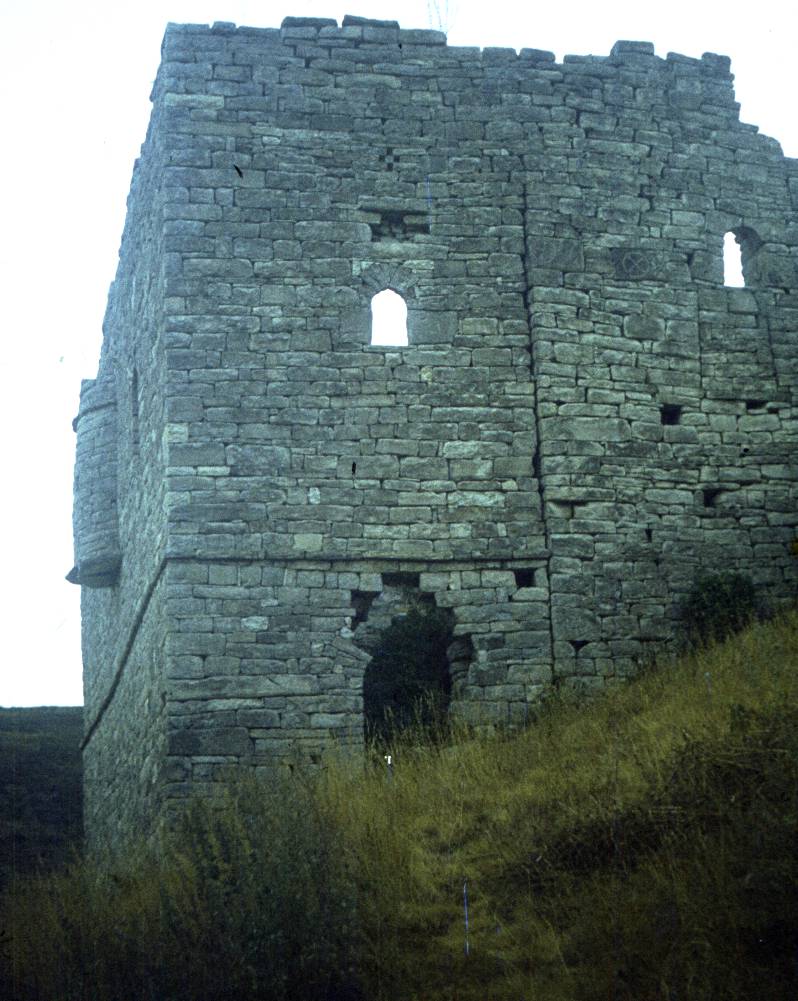224.JPG