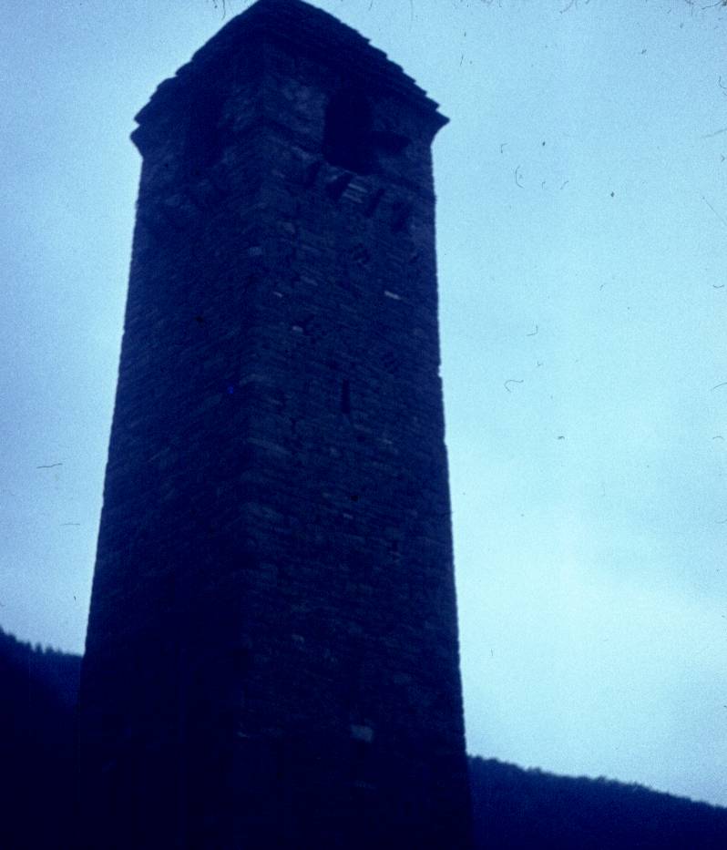 225.jpg