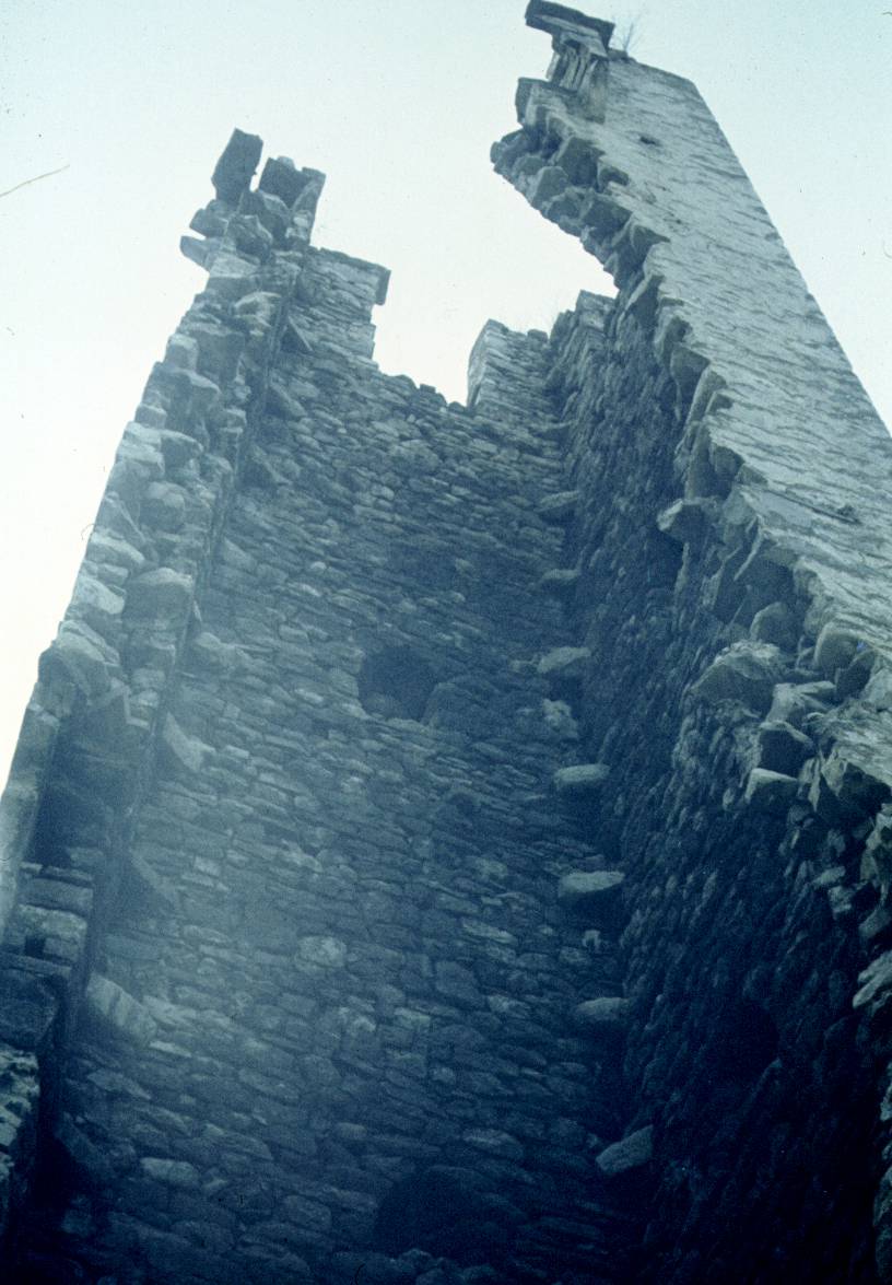 226.JPG