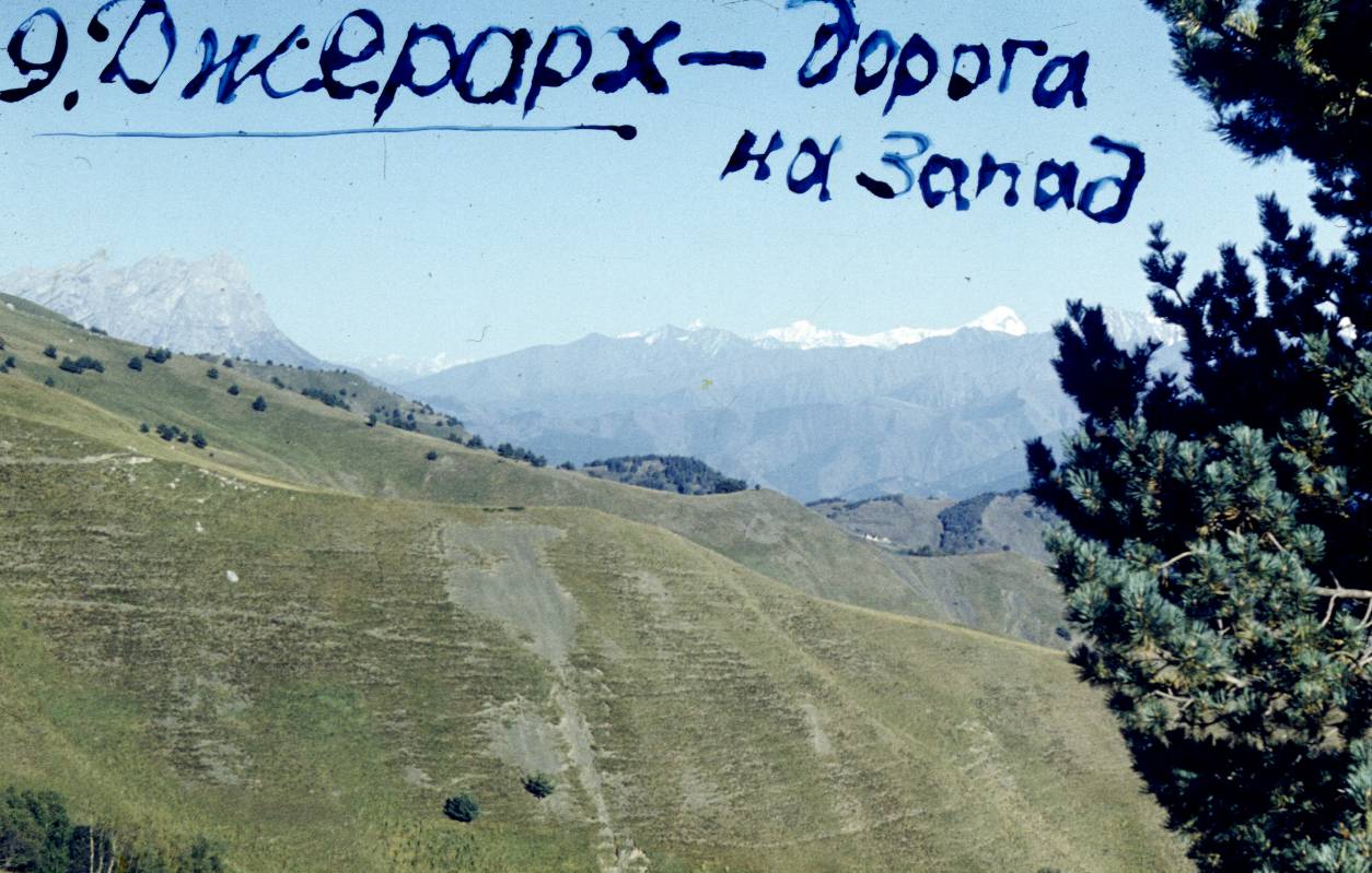 246.JPG