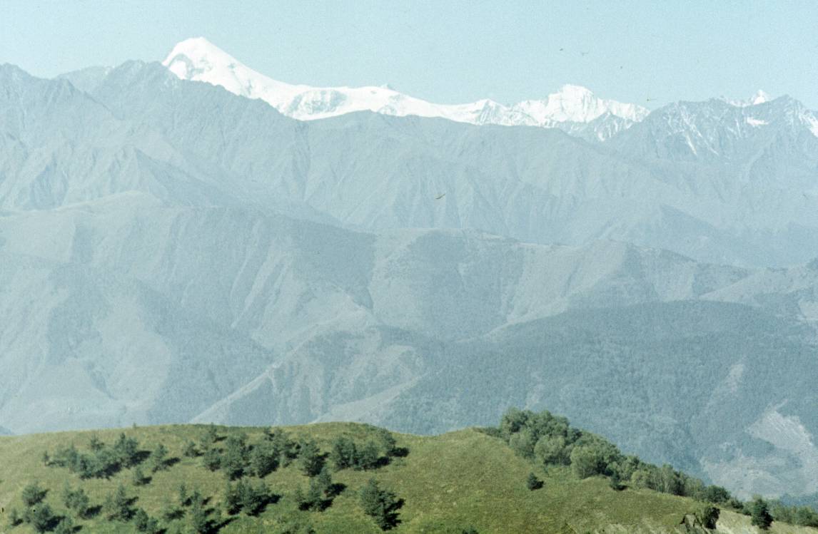 247.jpg