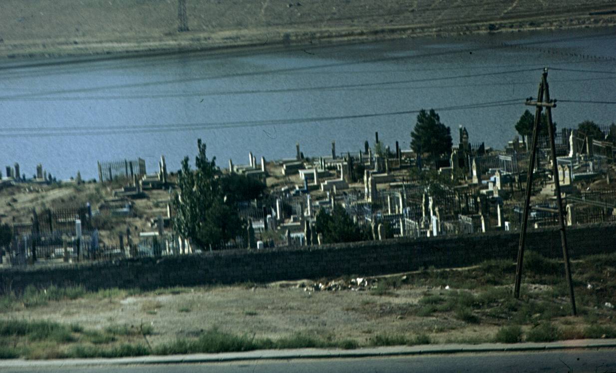 187.JPG
