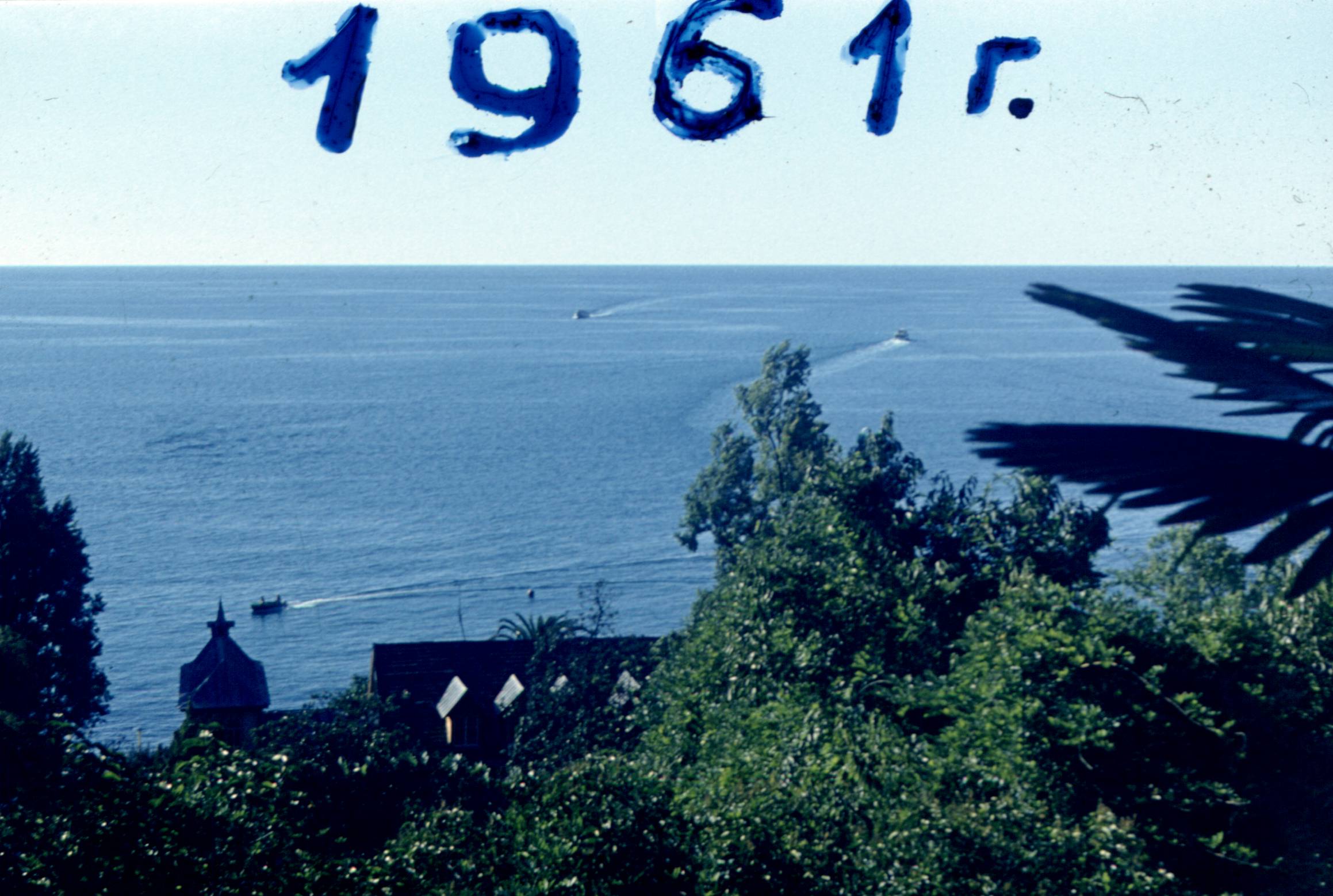 010.jpg