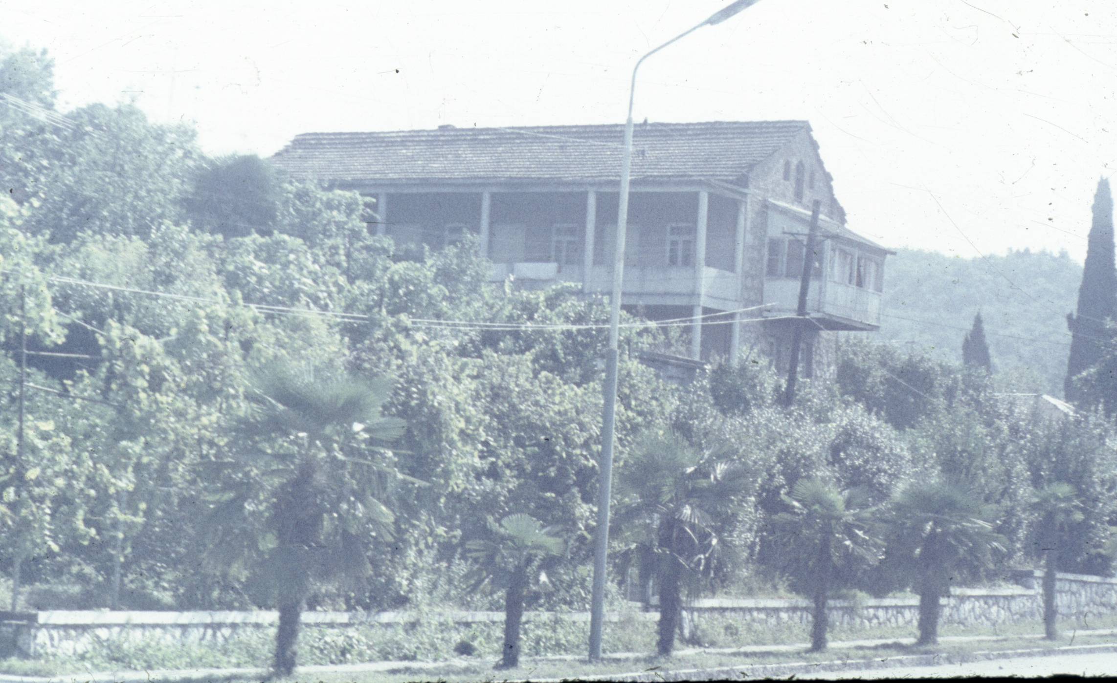 033-2.jpg