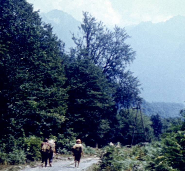 093-1.jpg
