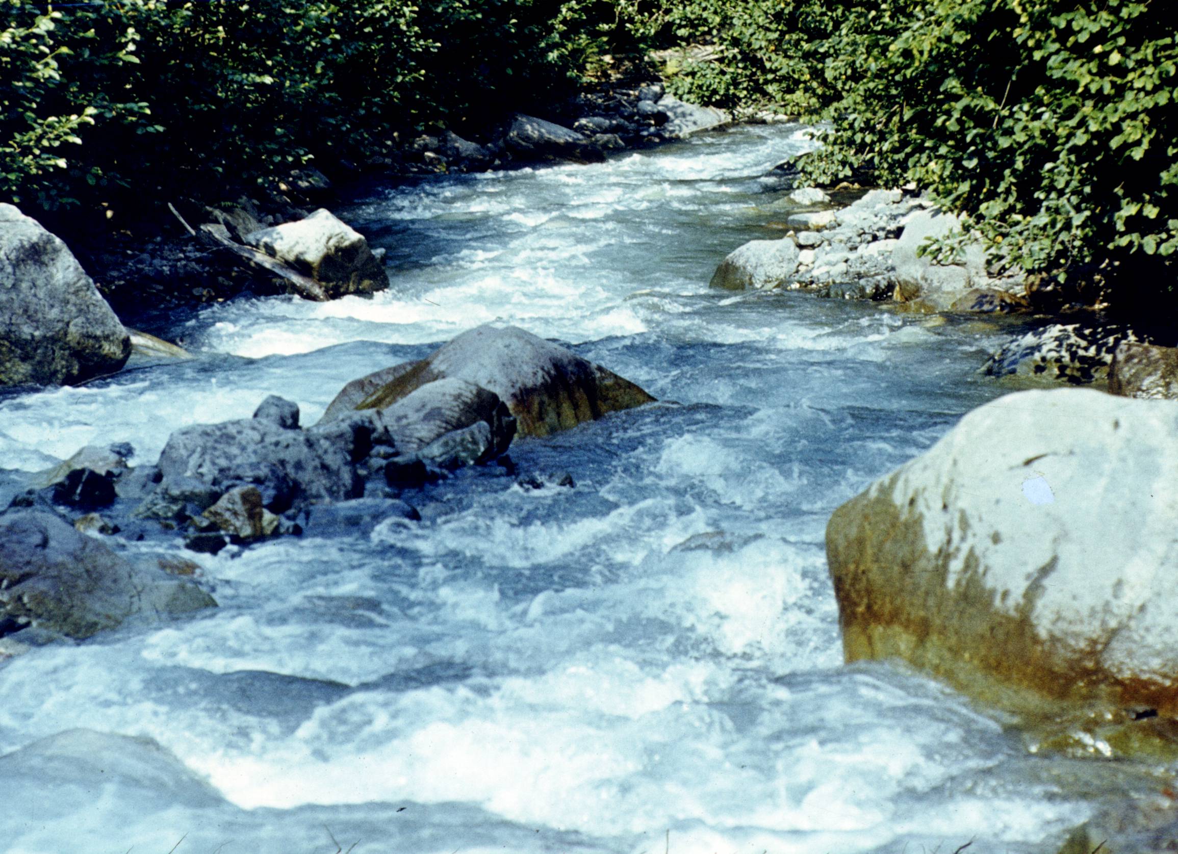 115.jpg