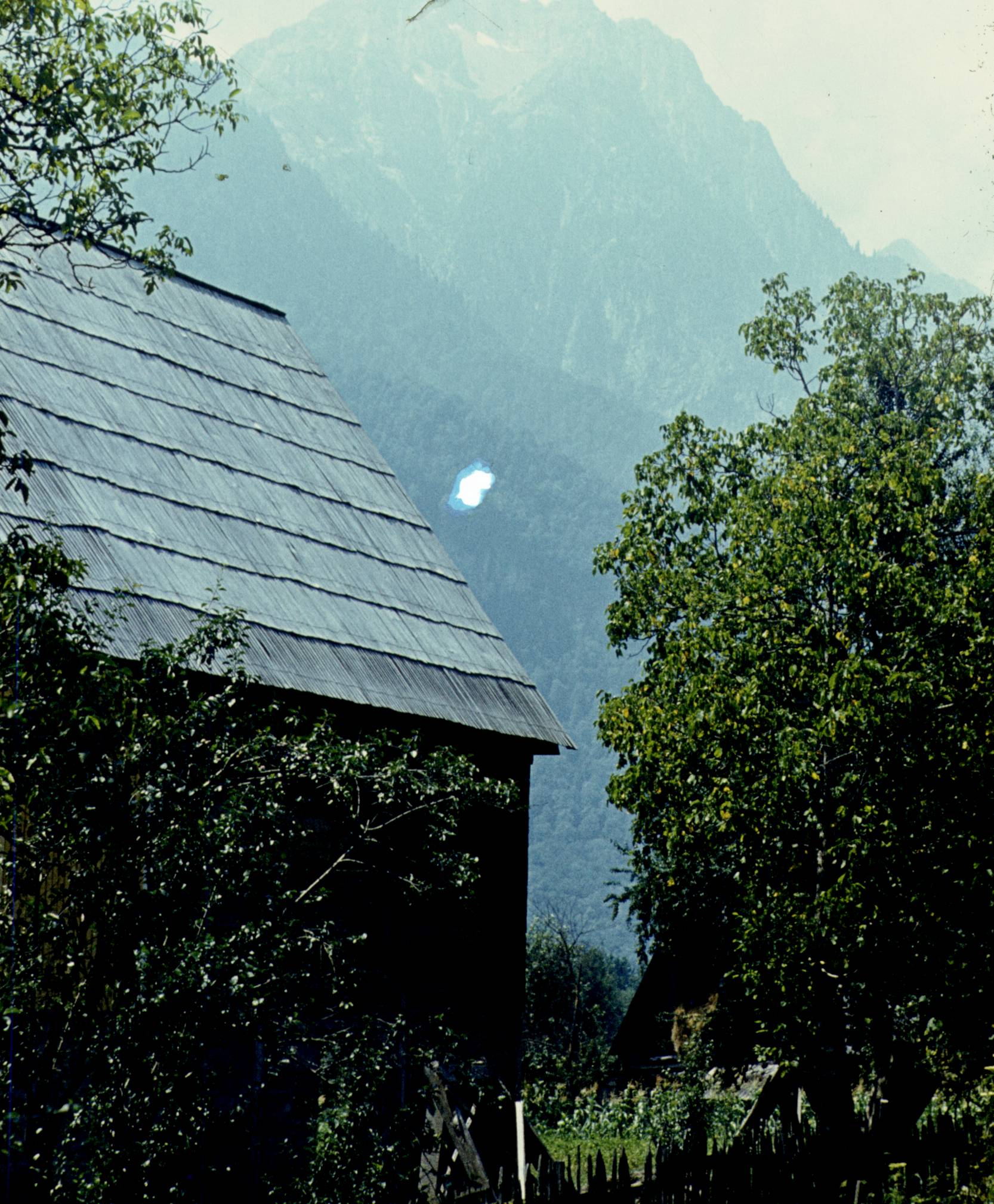 118.jpg