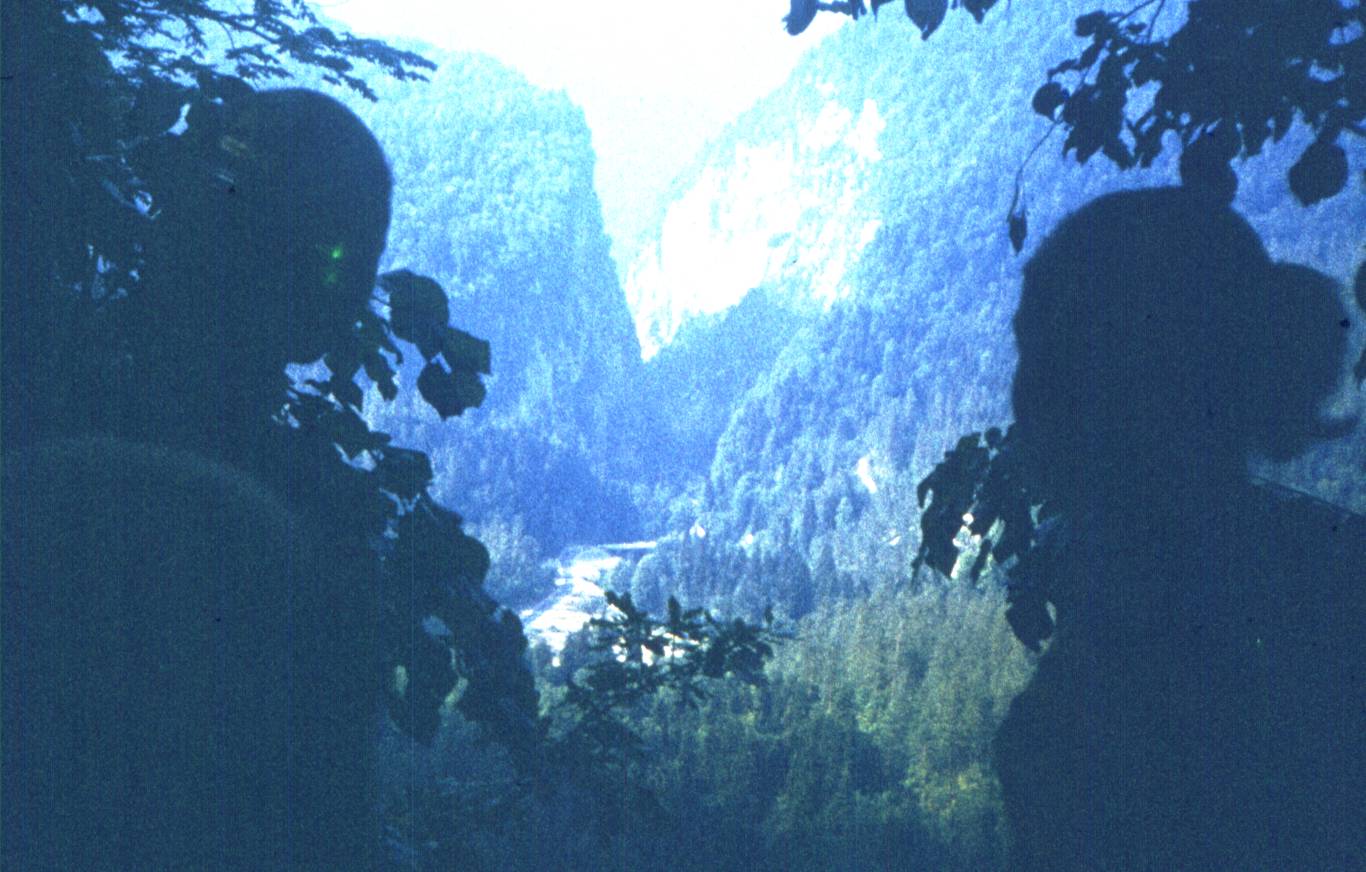 180-3.jpg