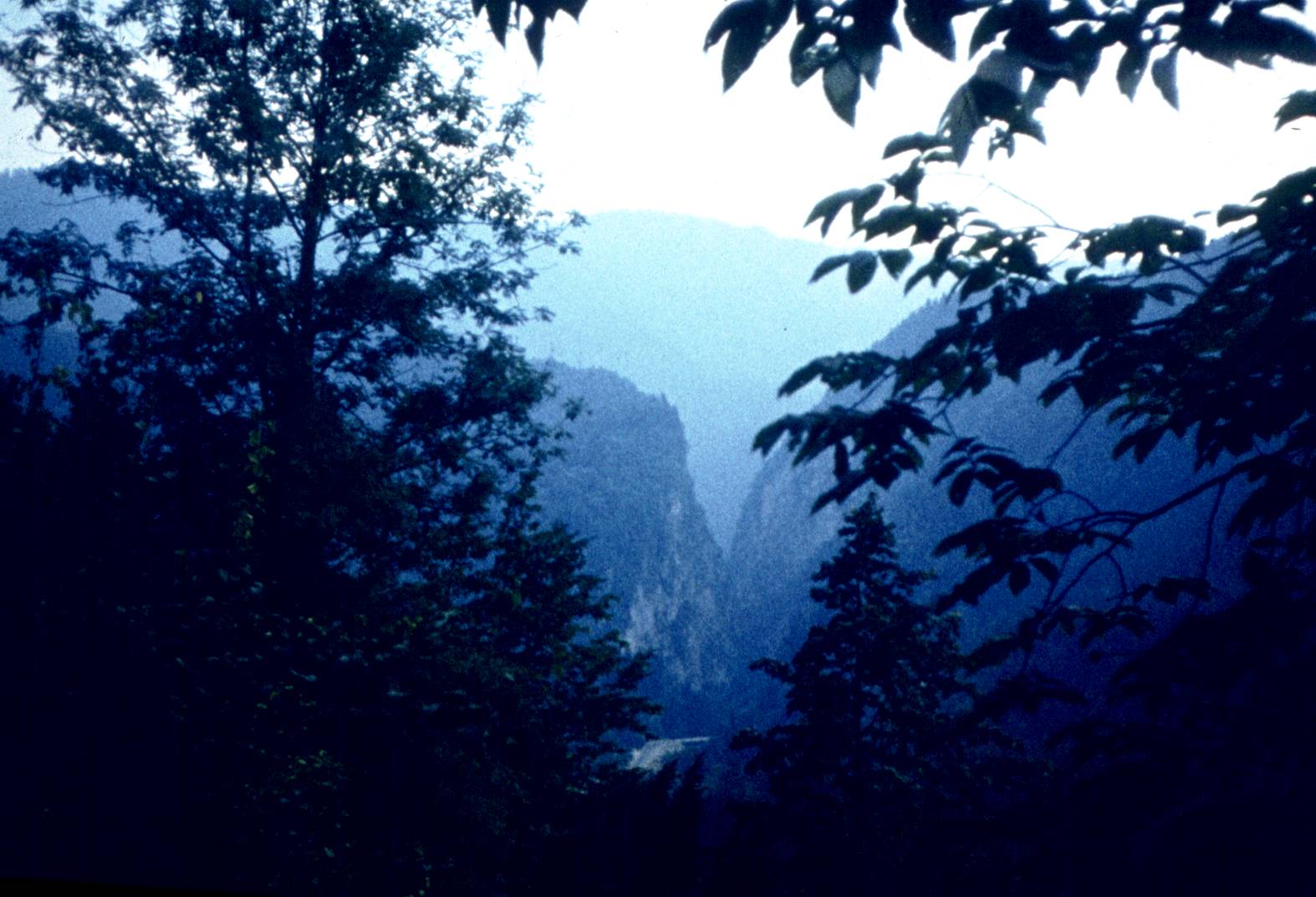 181-3.jpg