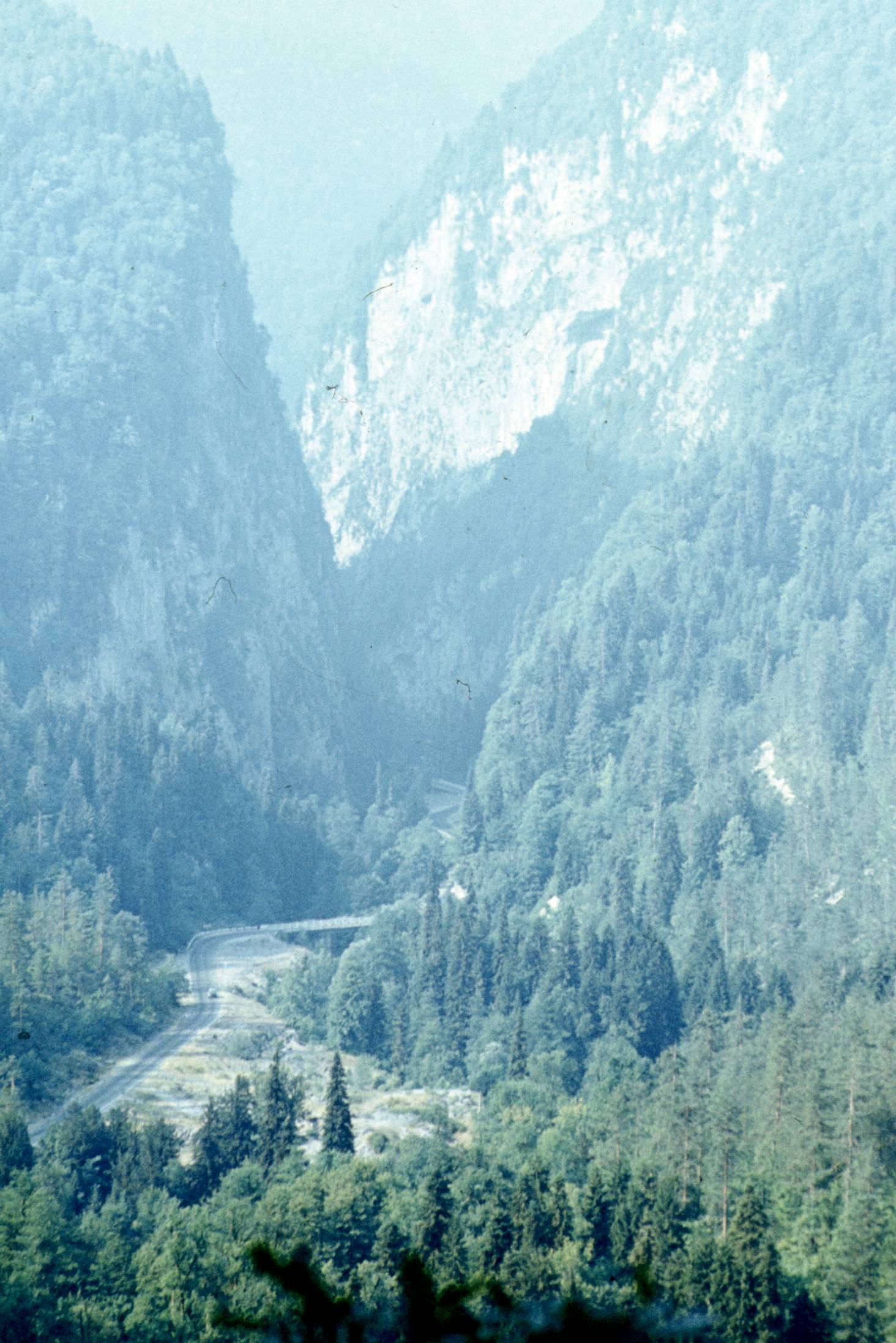 184.jpg
