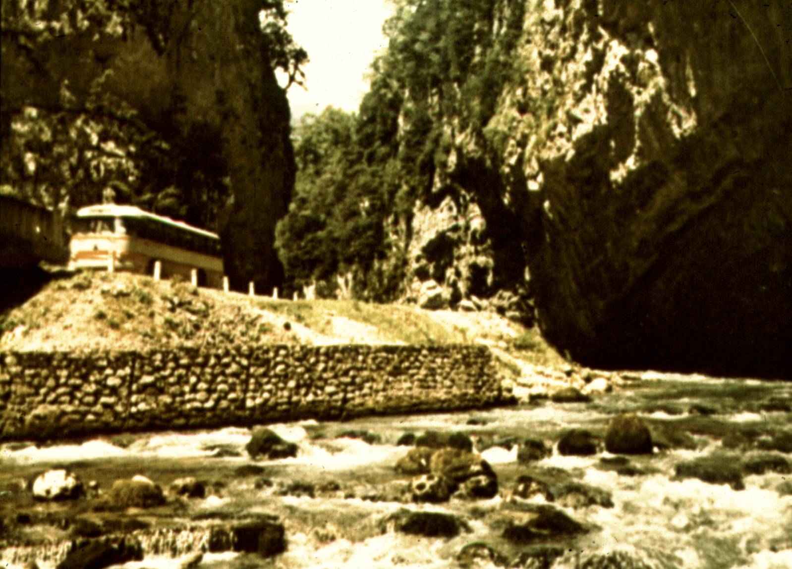 186.jpg