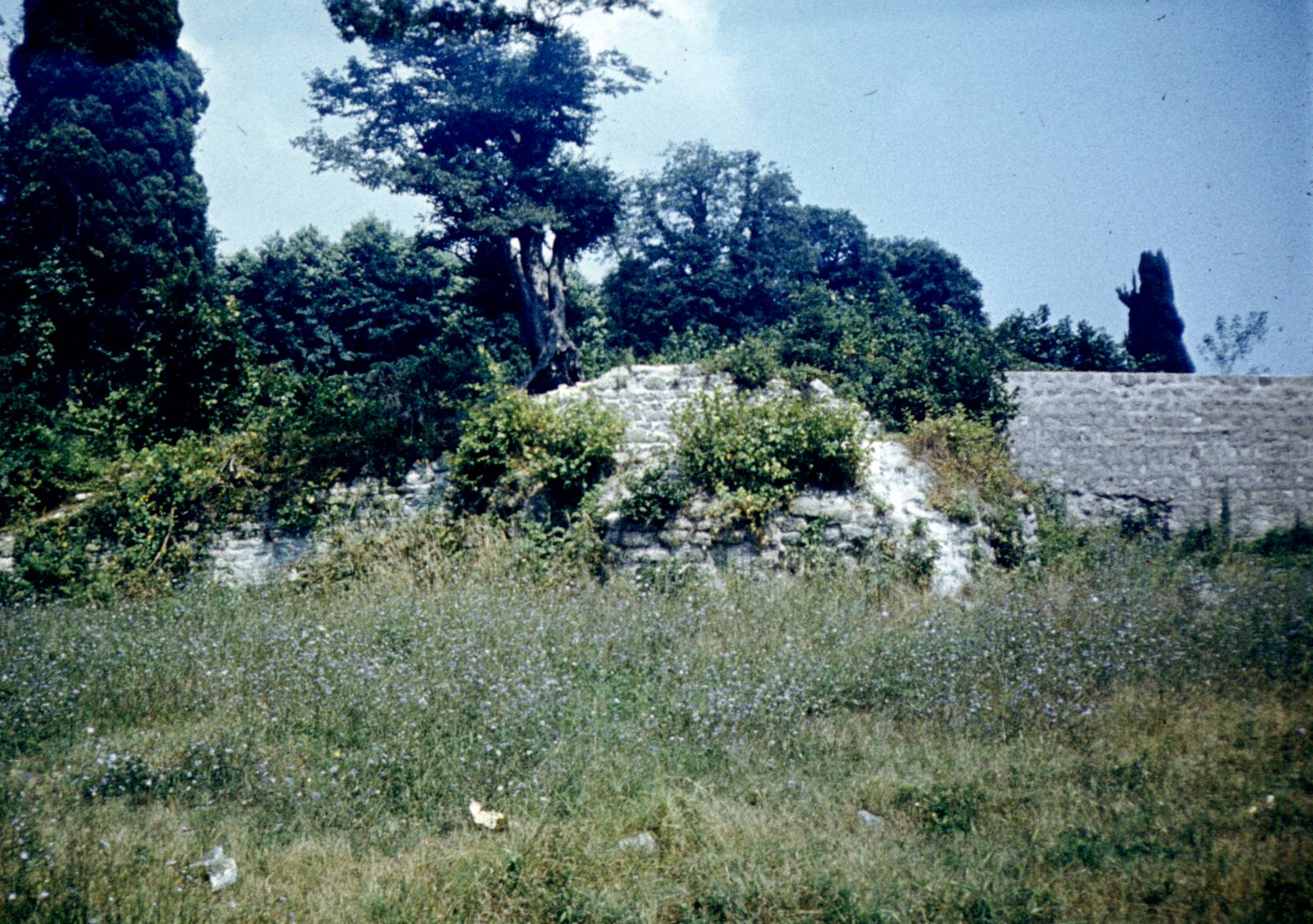 205.jpg