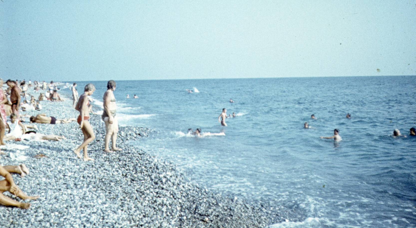 223.jpg