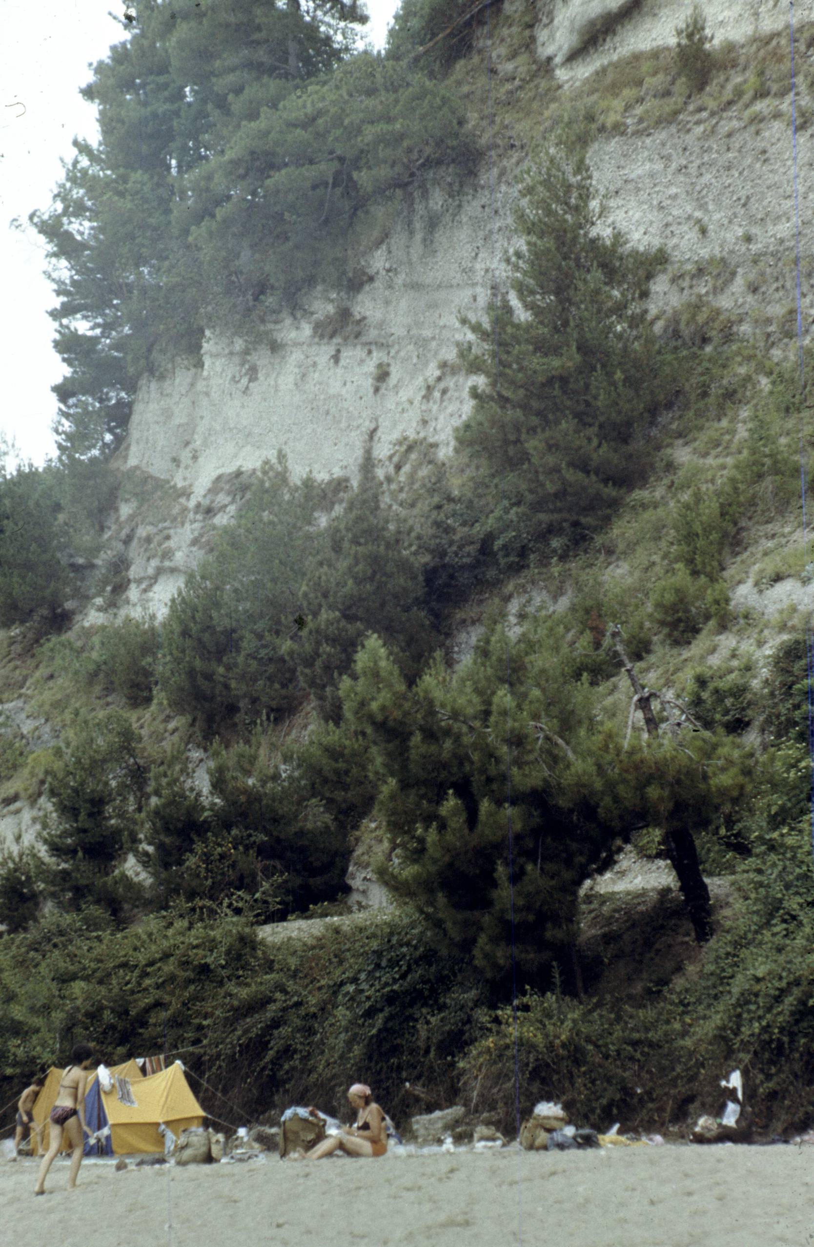 229.jpg