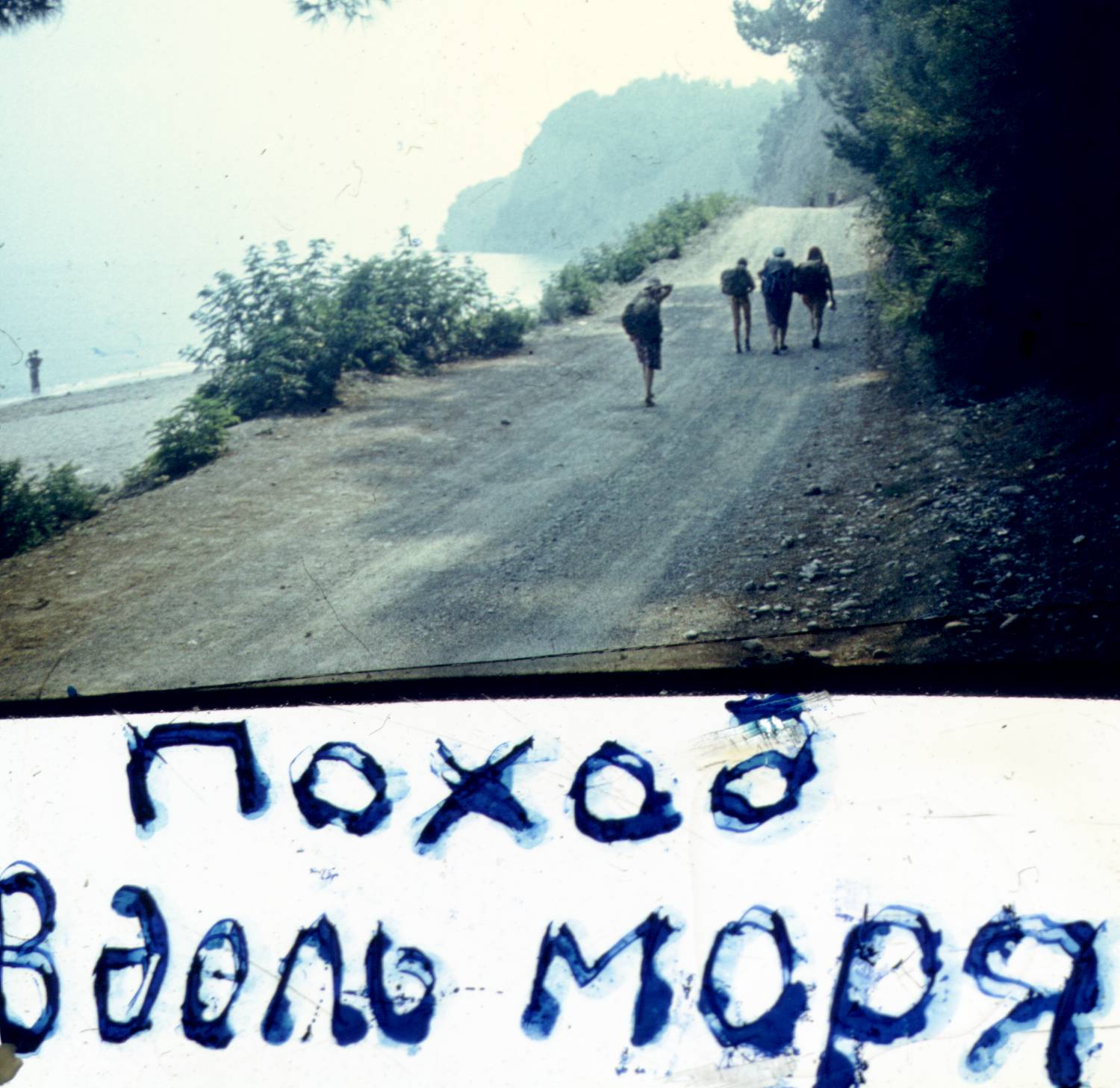237.jpg