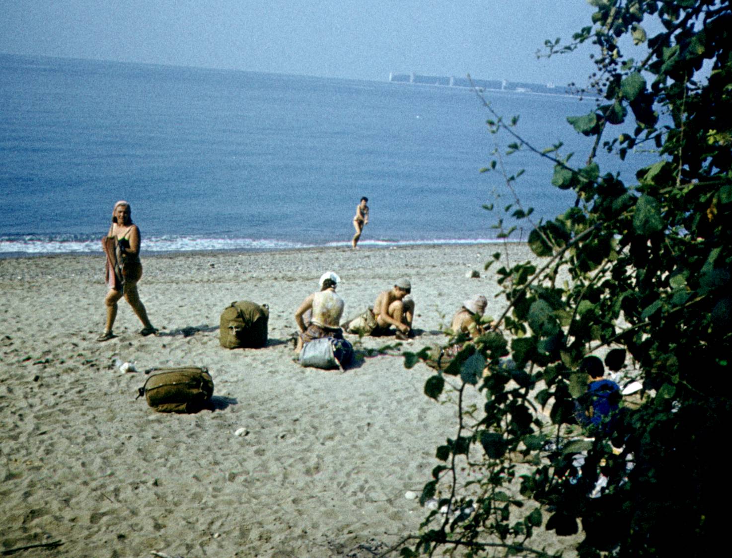 239.jpg