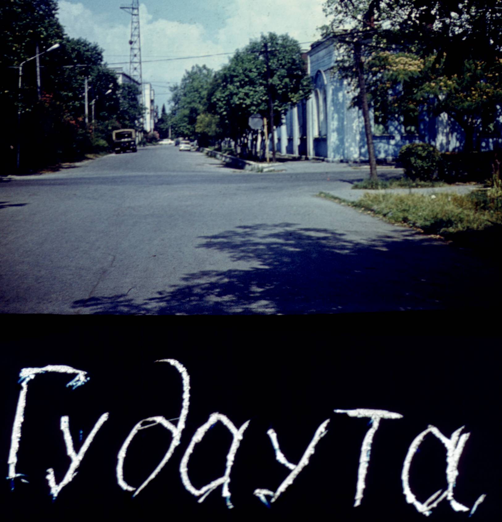 254.jpg