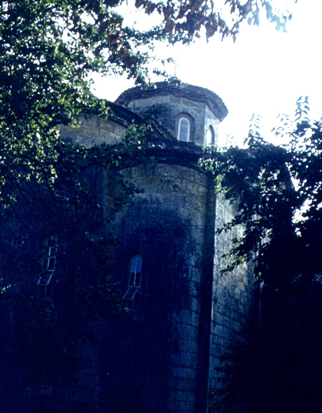 260-1.jpg