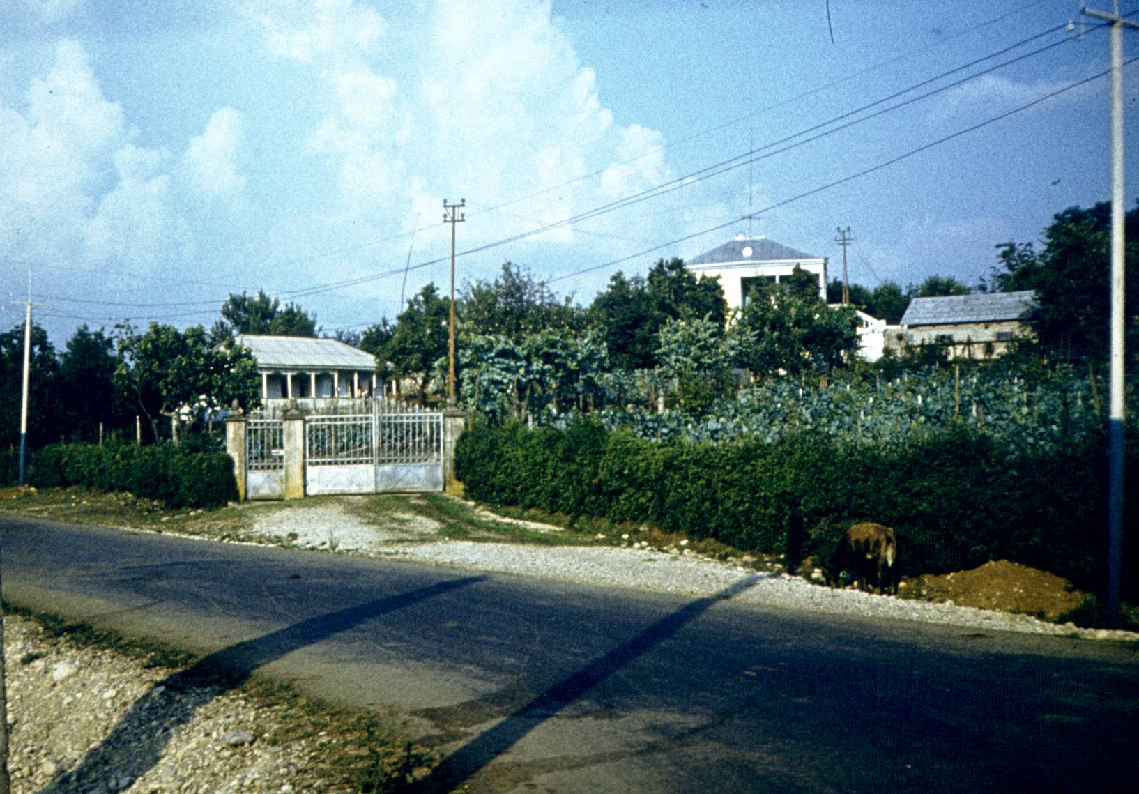 287.jpg