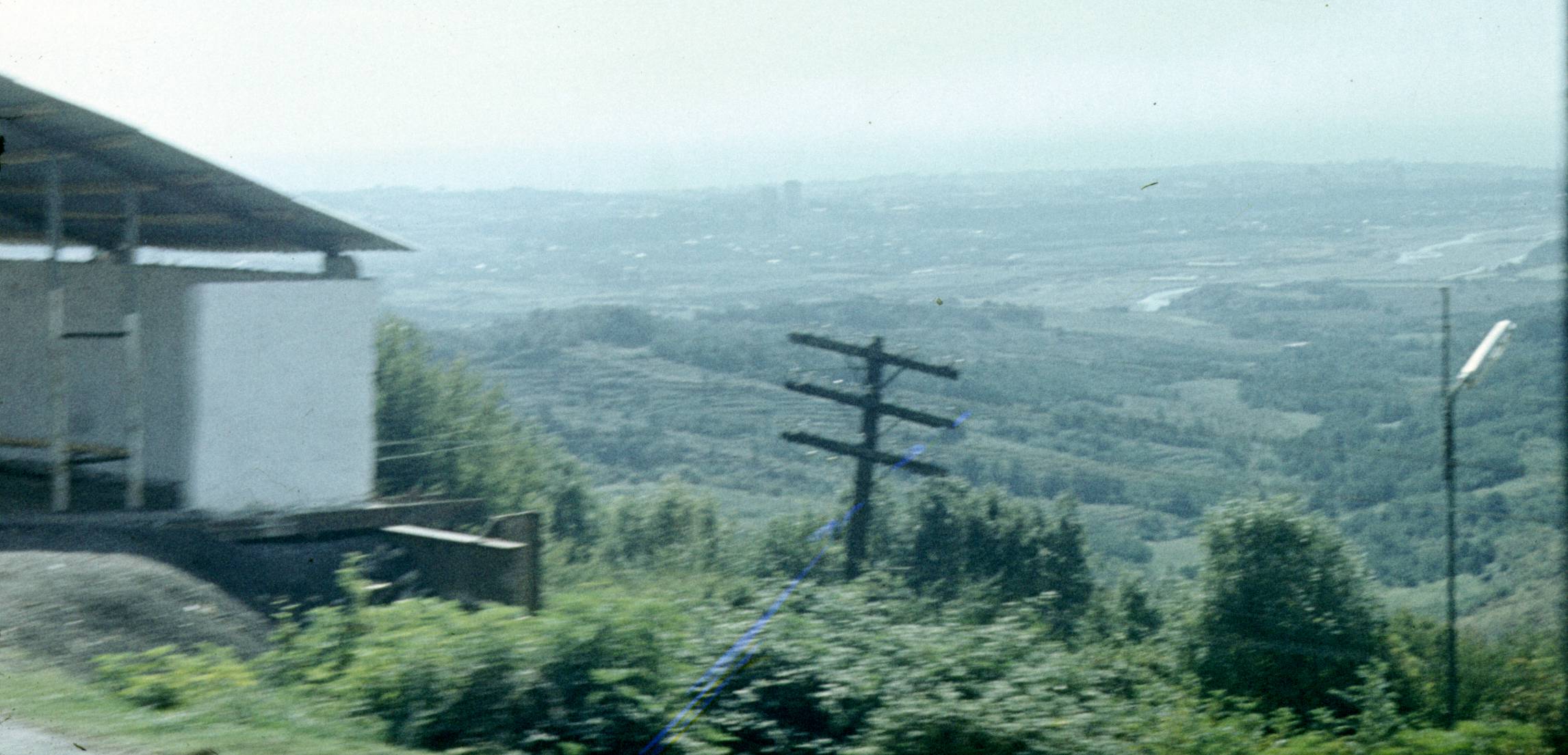 289.jpg