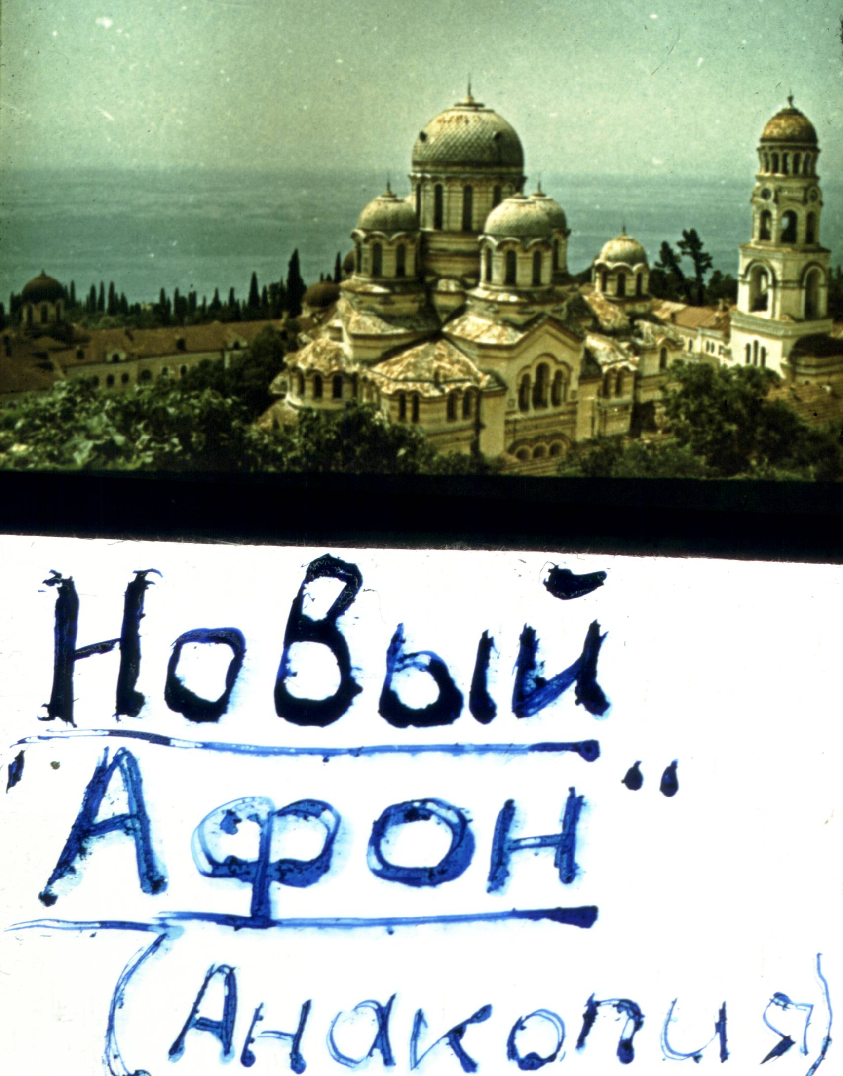 296.jpg
