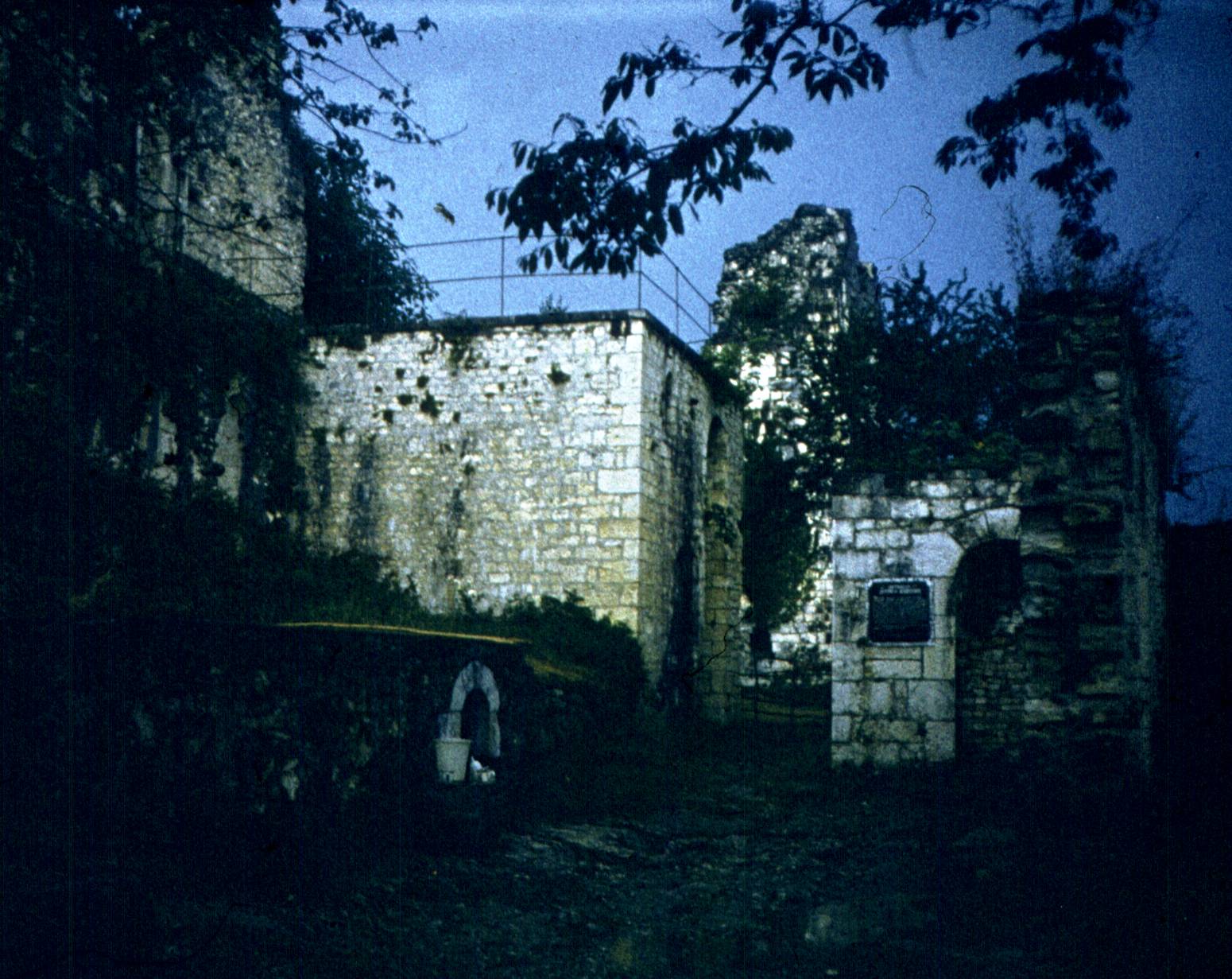 316.jpg