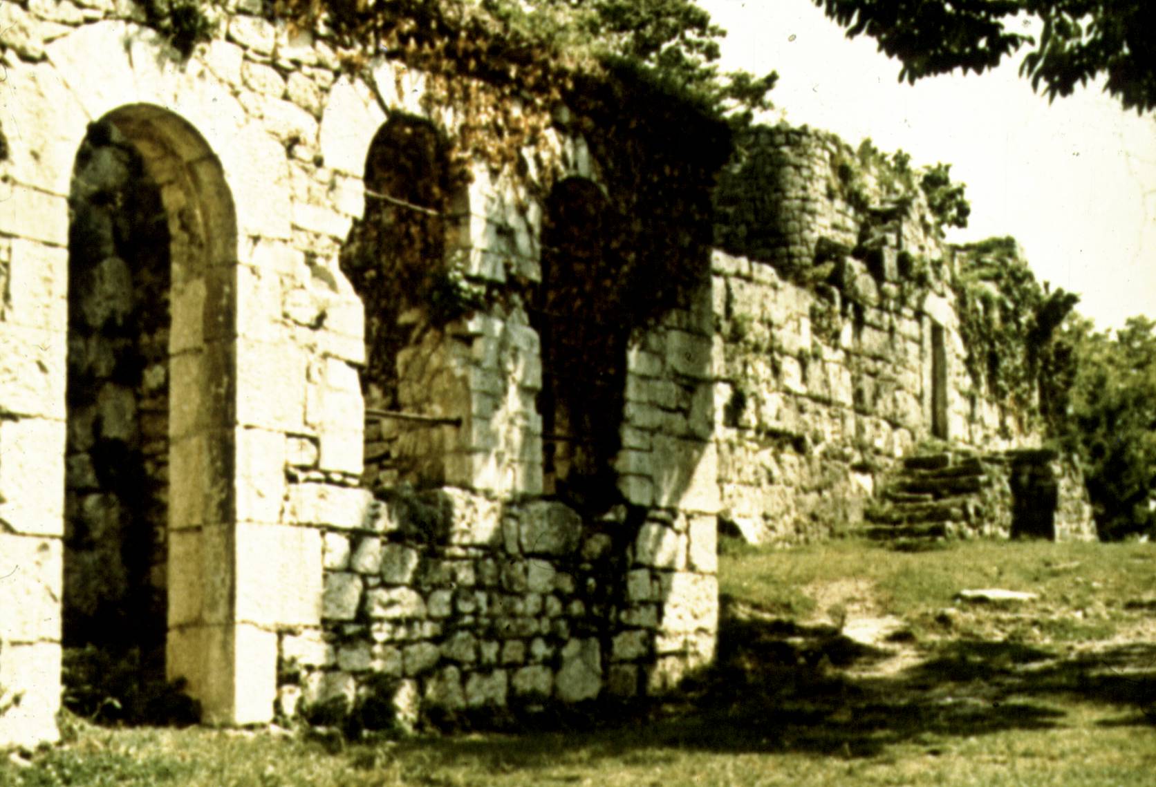 333-1.jpg