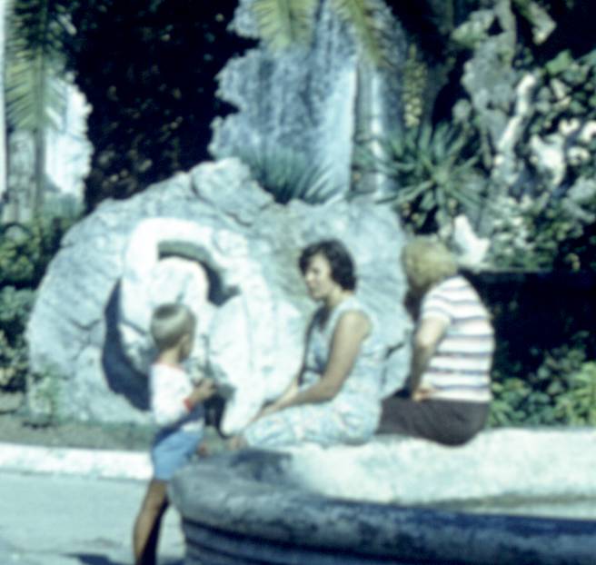 345-1.jpg
