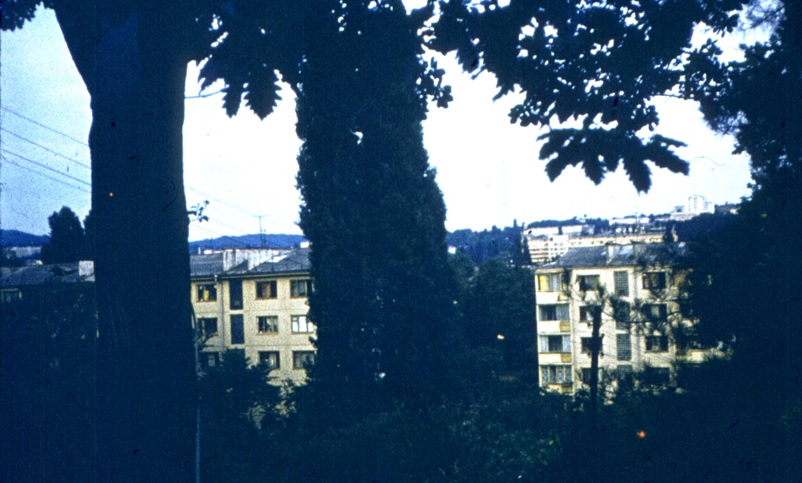 380.jpg