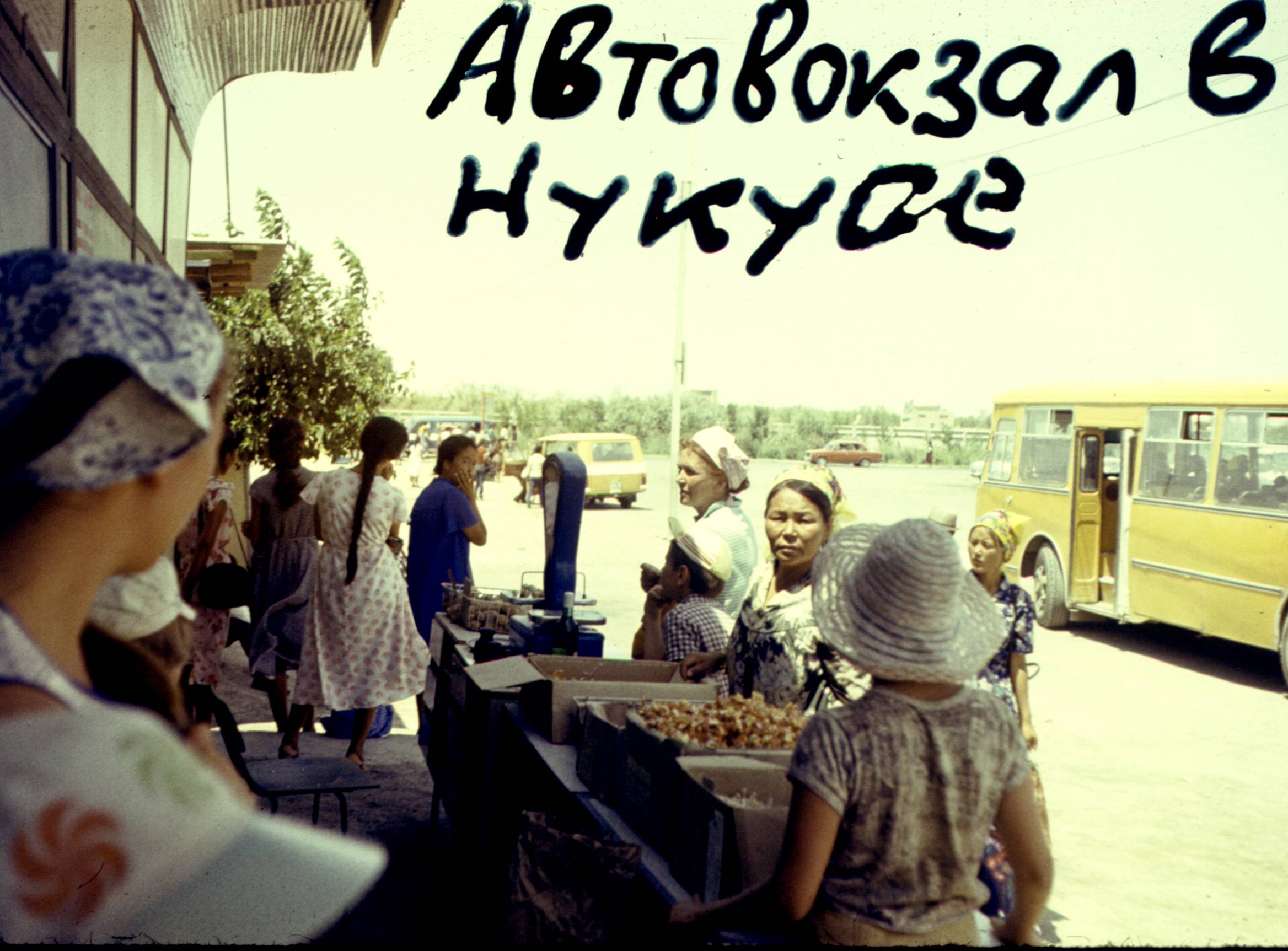050.jpg