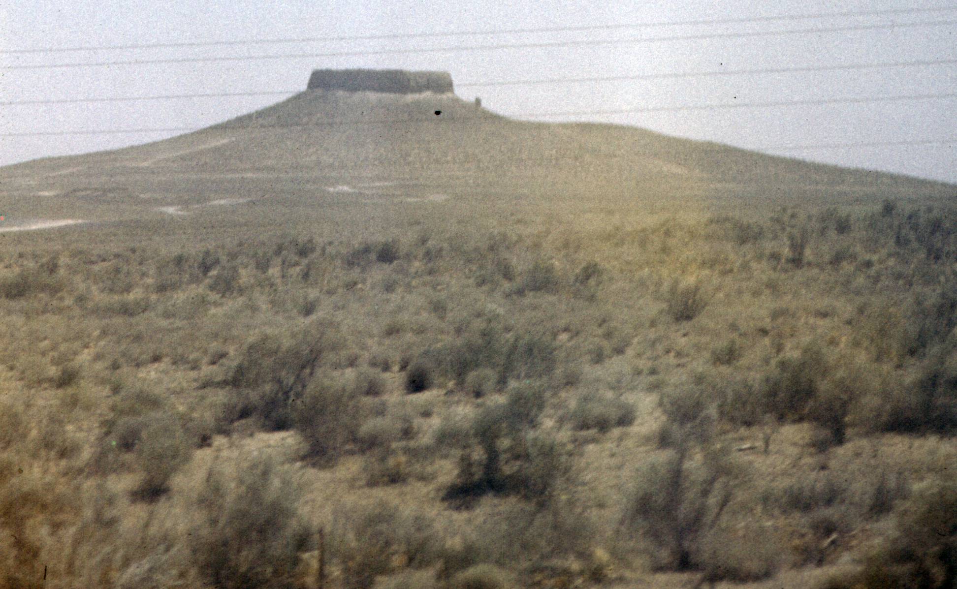 125.jpg