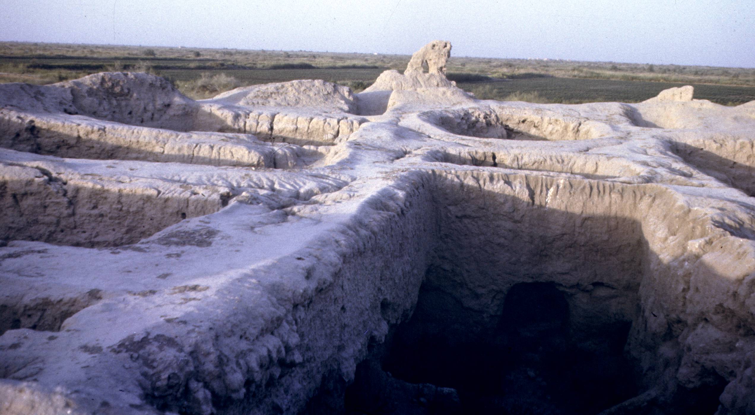 171.jpg