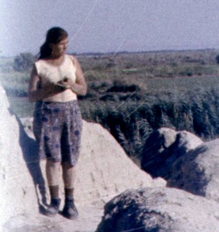 172-1.jpg