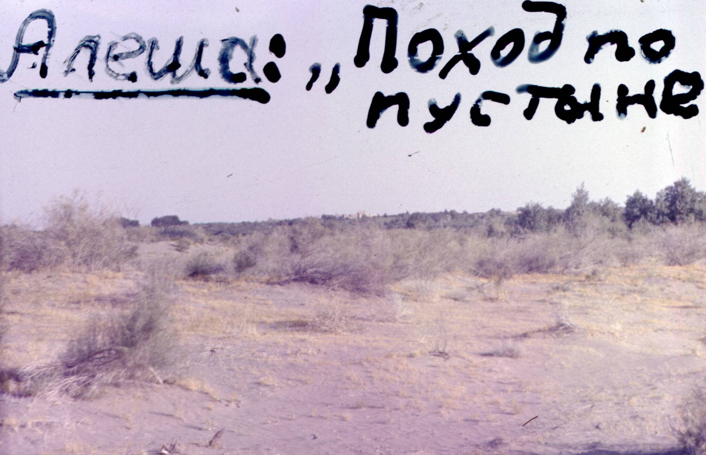 199.jpg