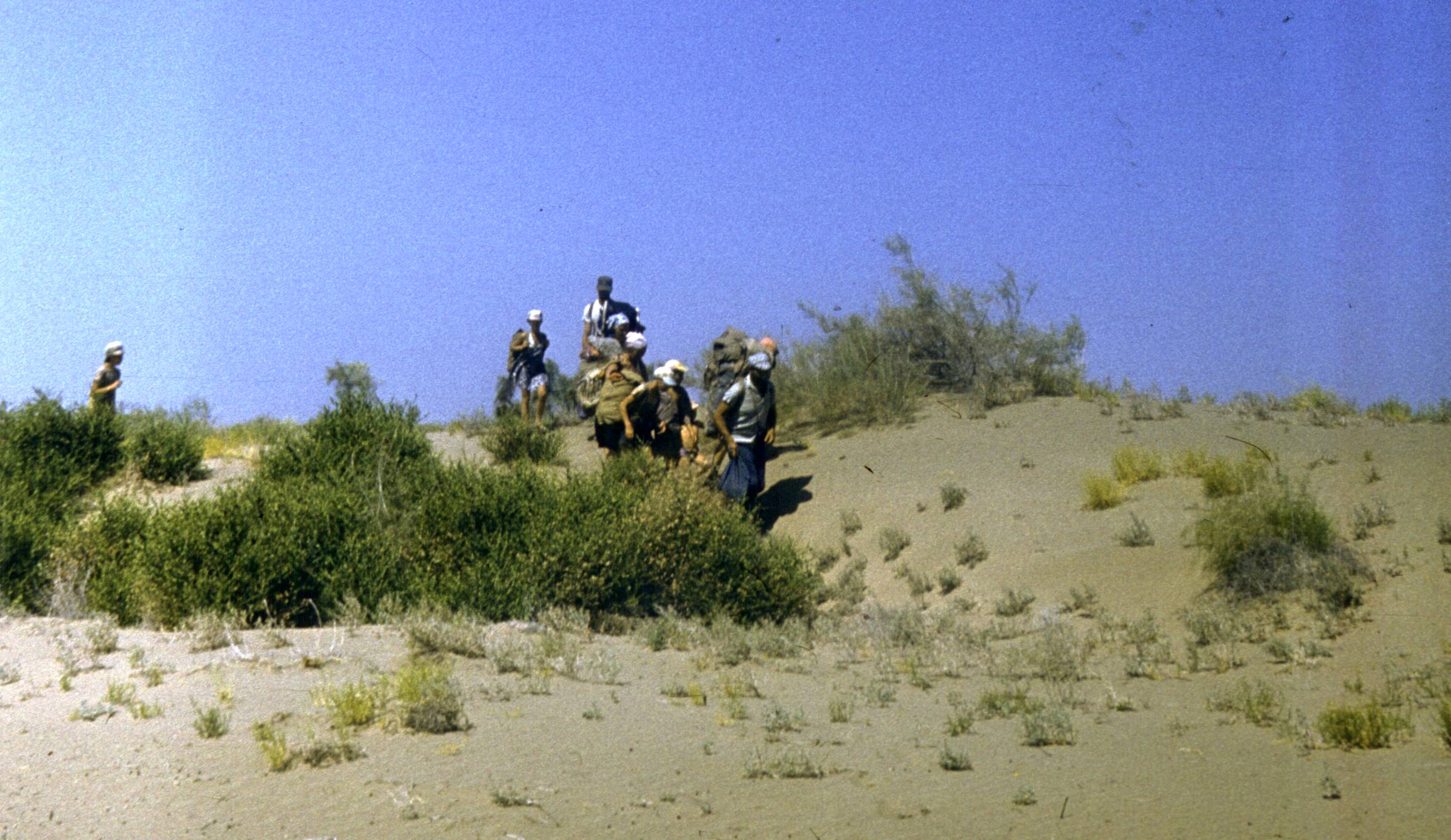 205.jpg