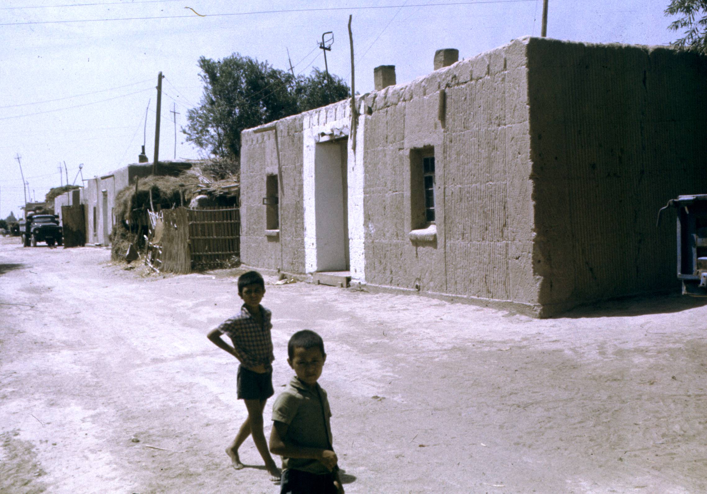 230.jpg