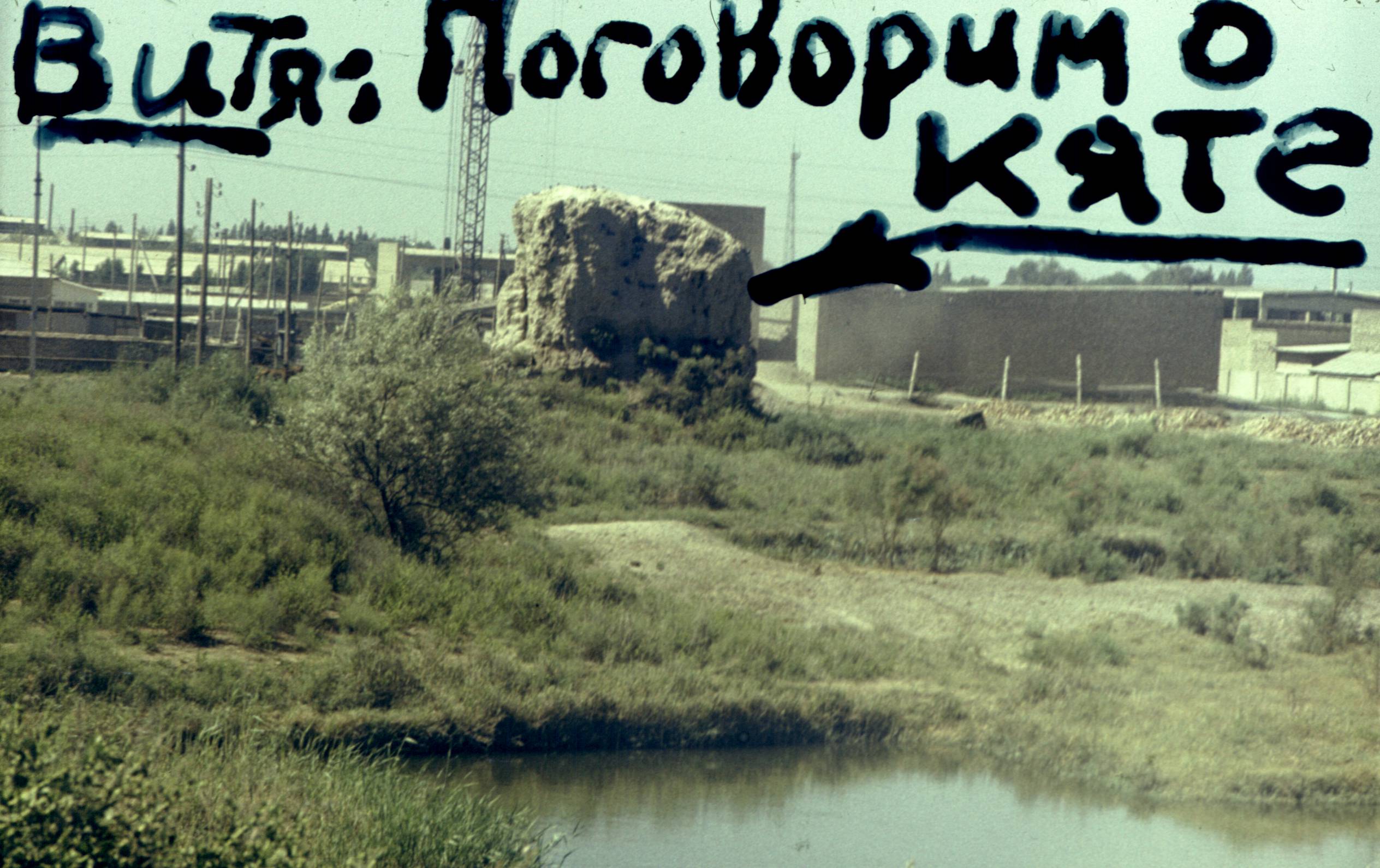246.jpg
