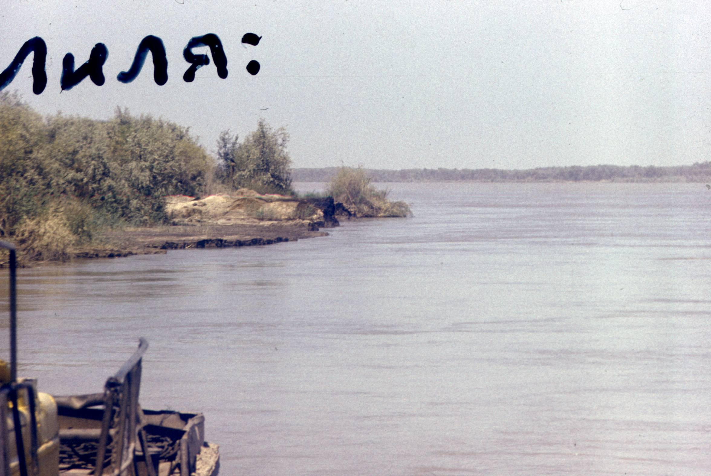 260.jpg