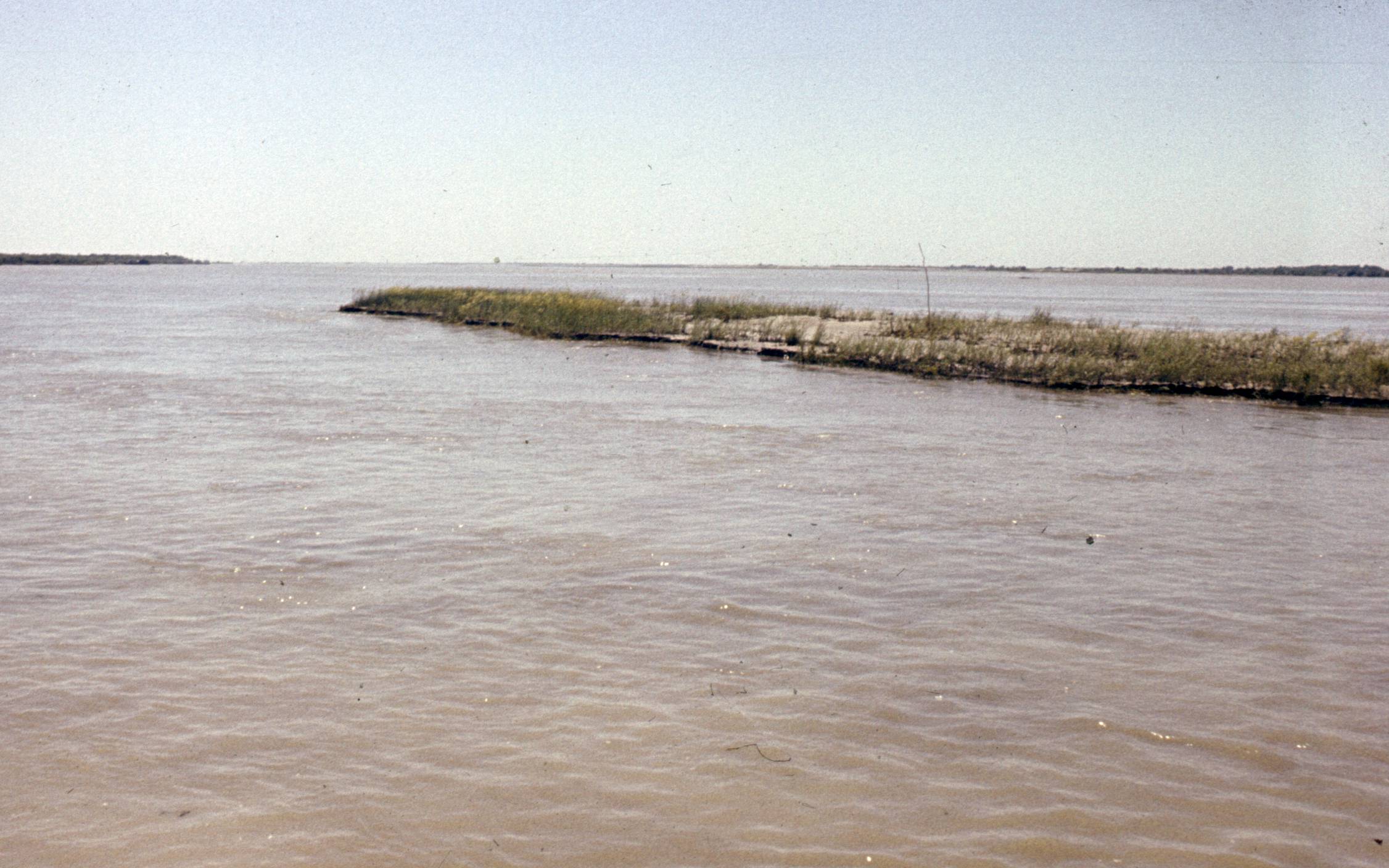 273.jpg