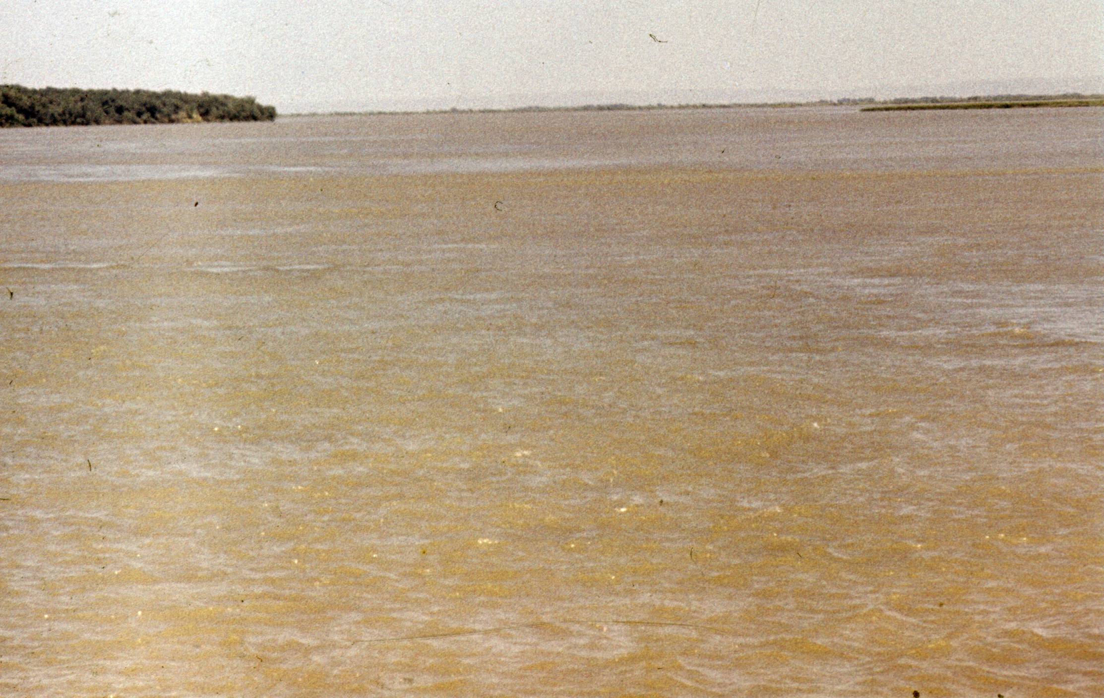 277.jpg