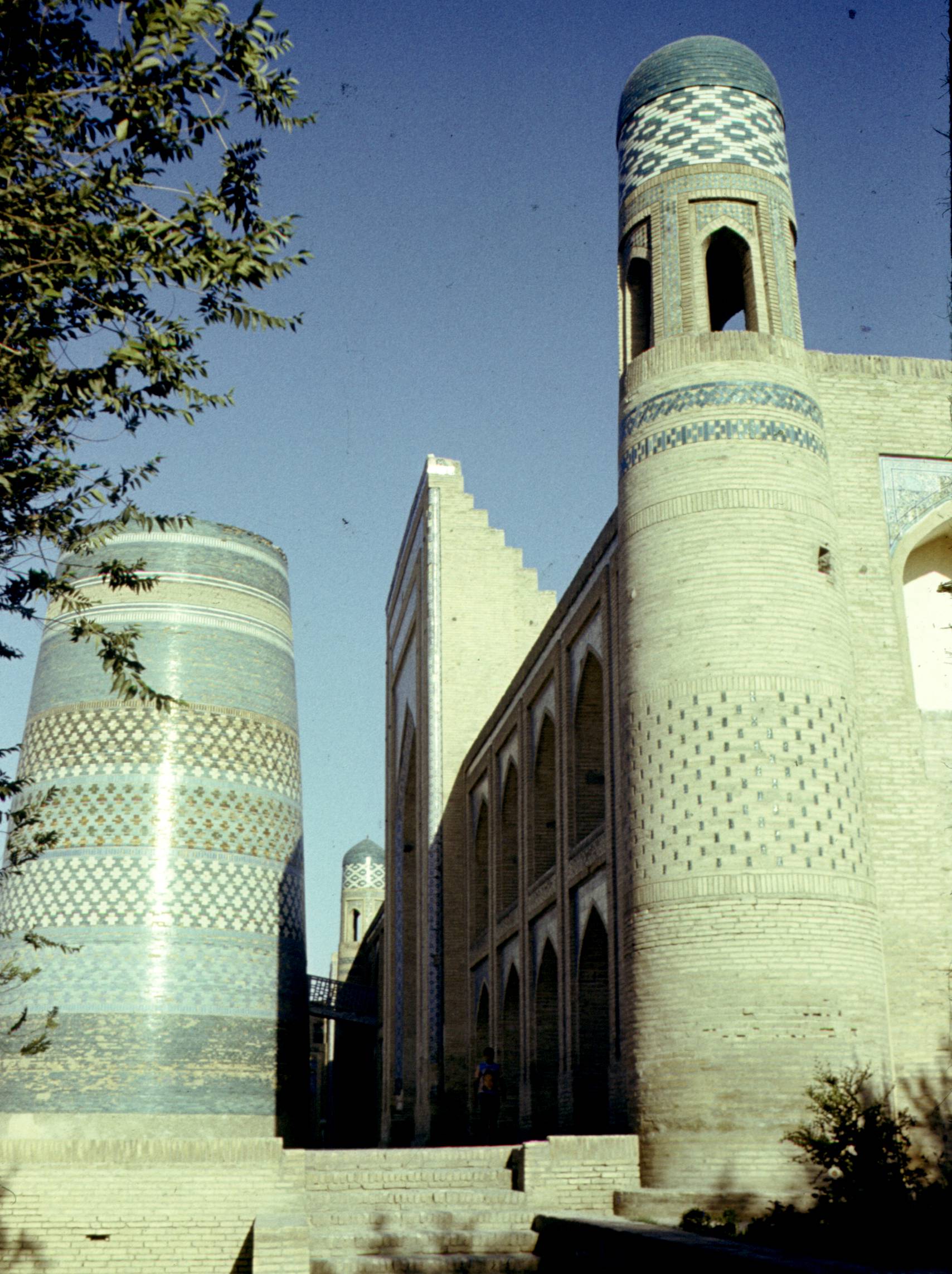 336.jpg