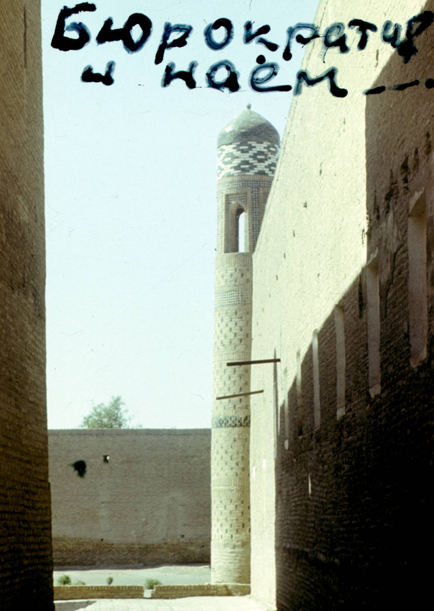 340.jpg