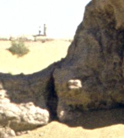 346-1.jpg