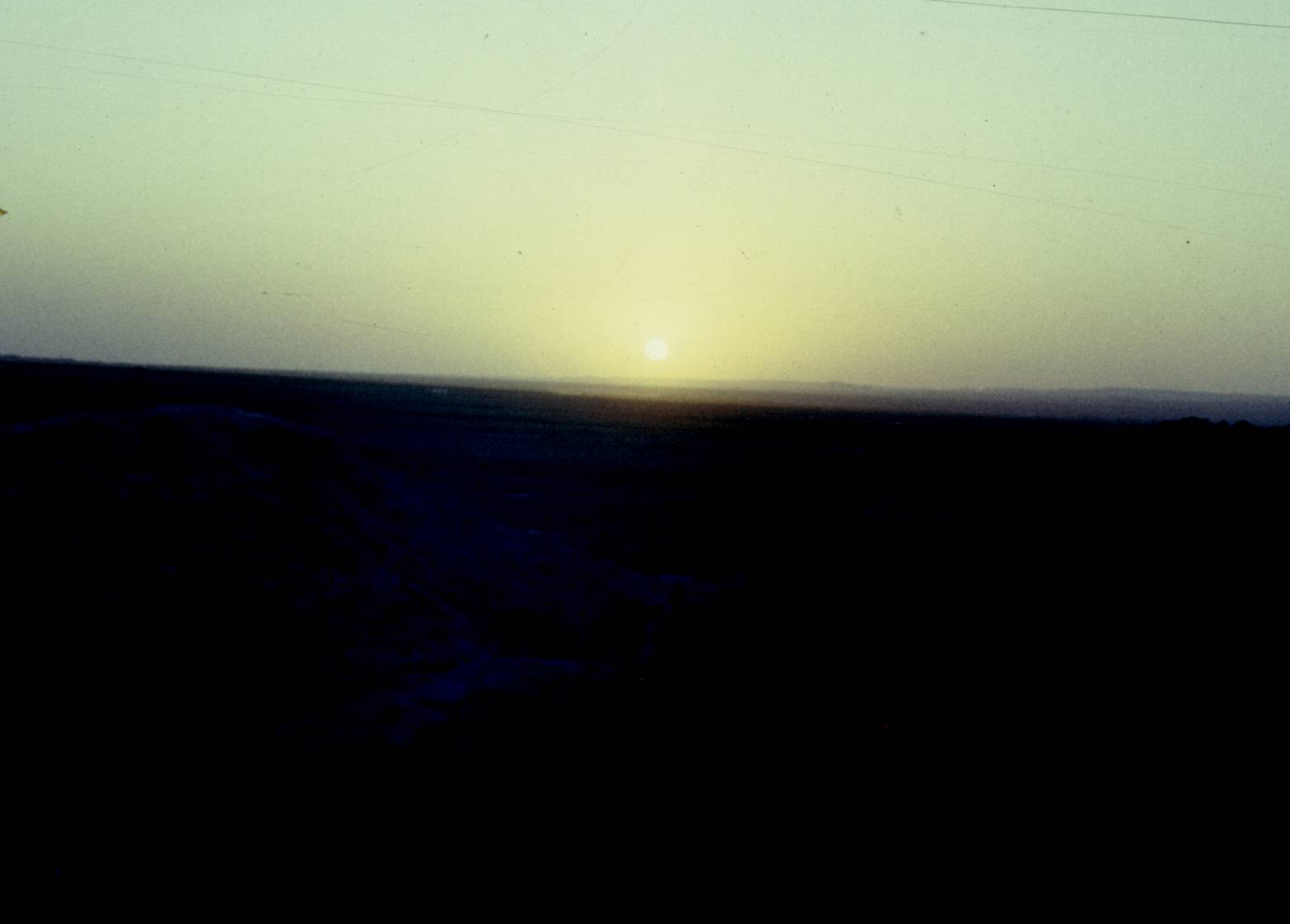 353.jpg