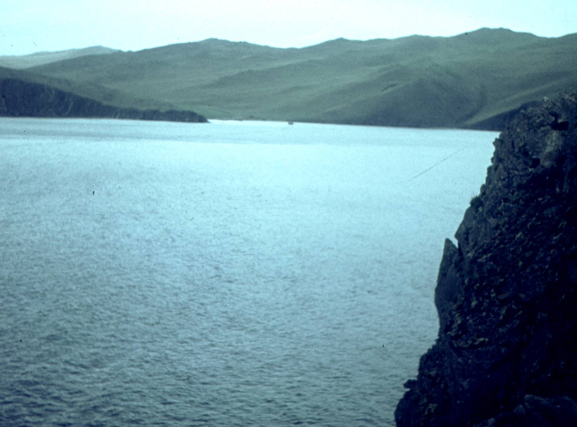 019-1.jpg