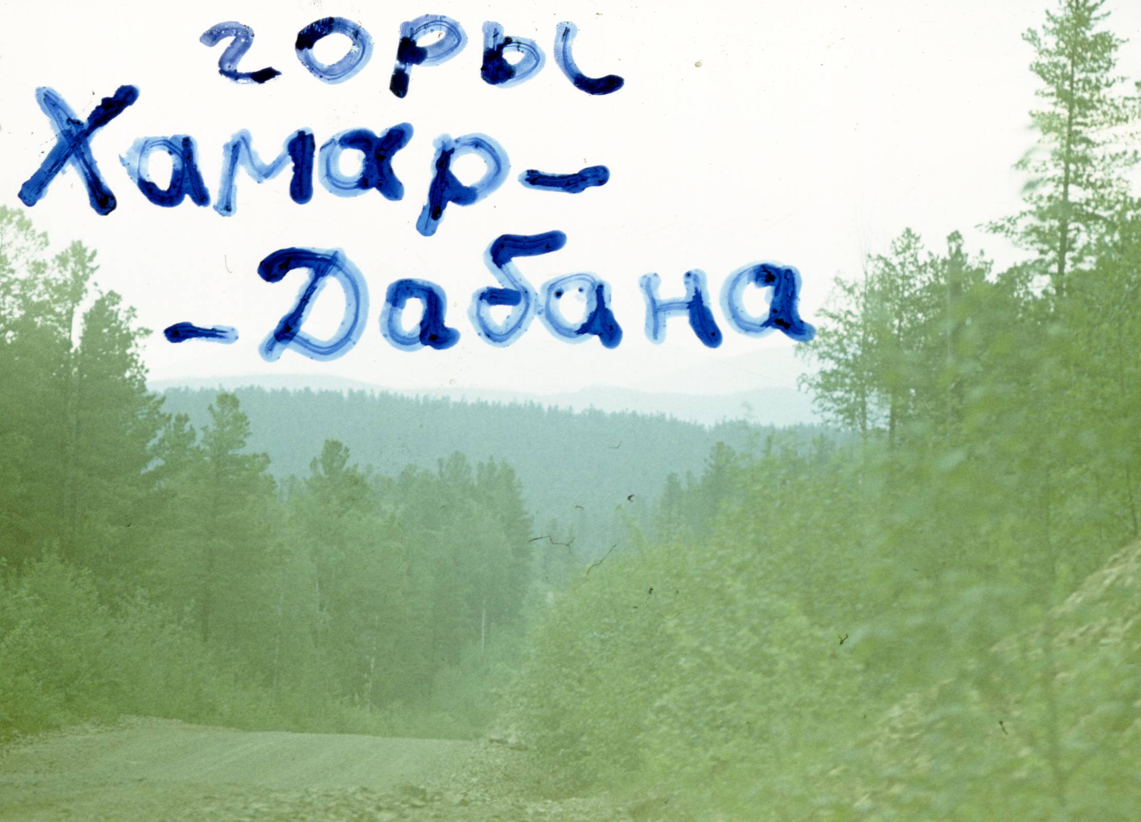 120.jpg
