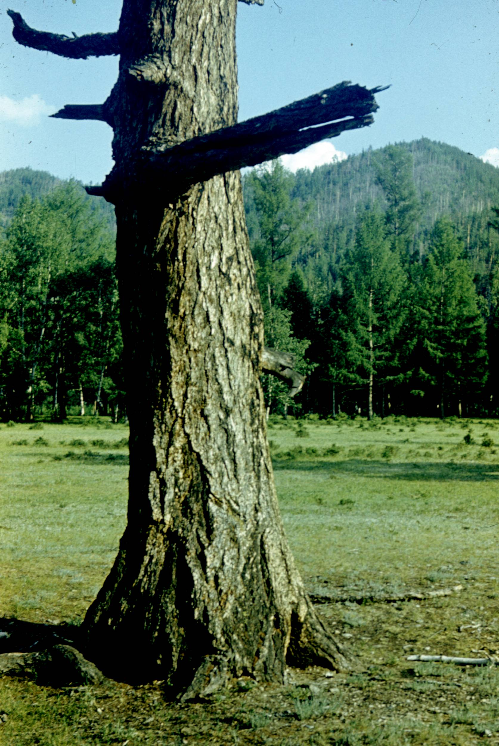 137.jpg