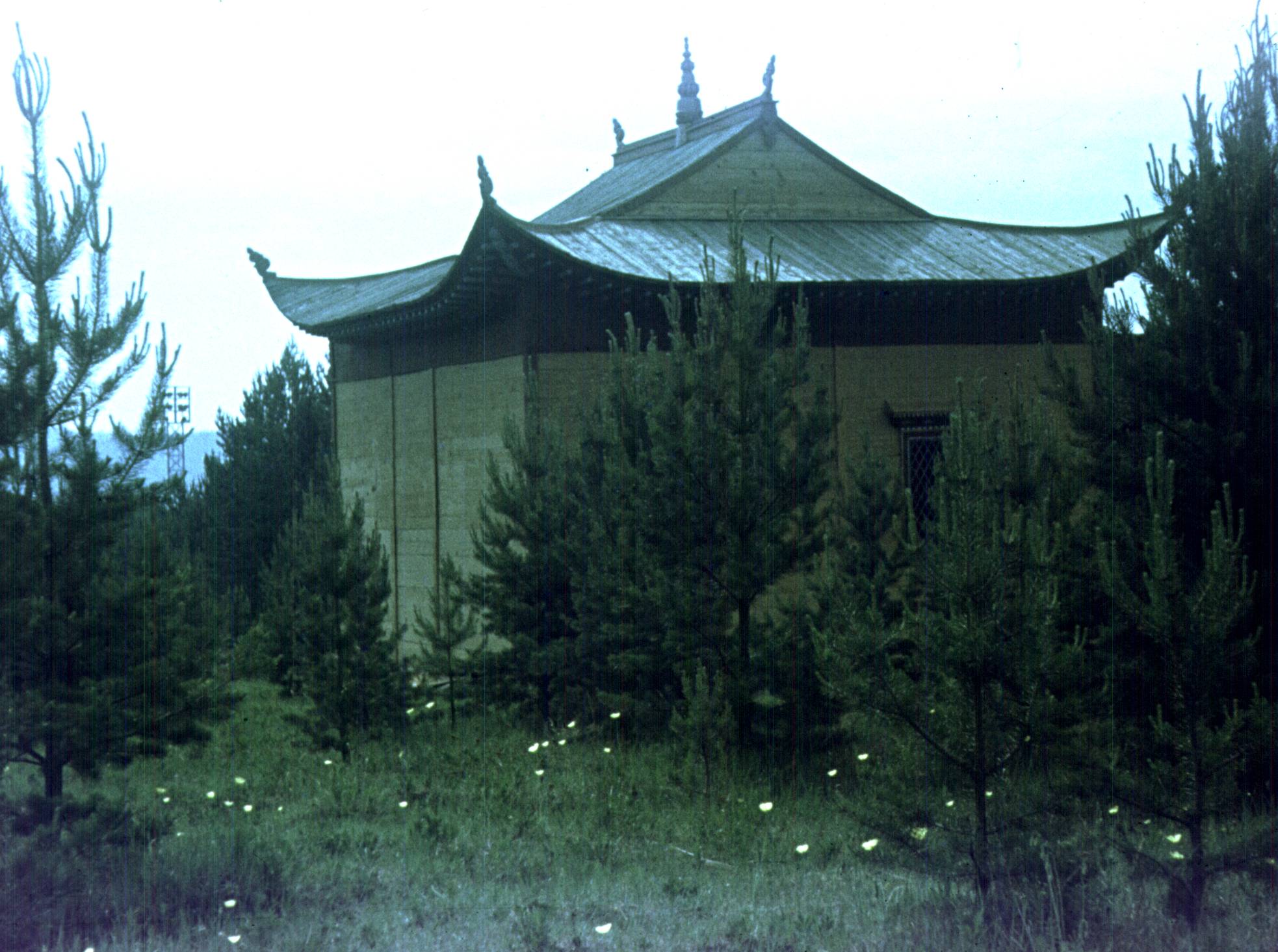 156.jpg