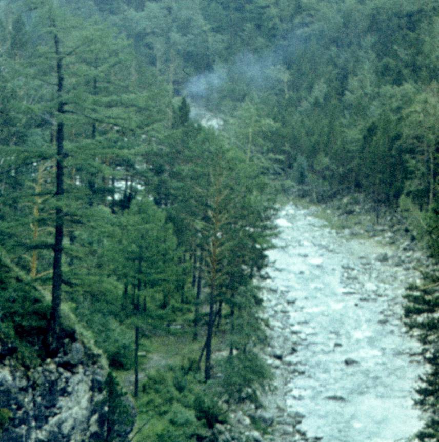 179-1.jpg